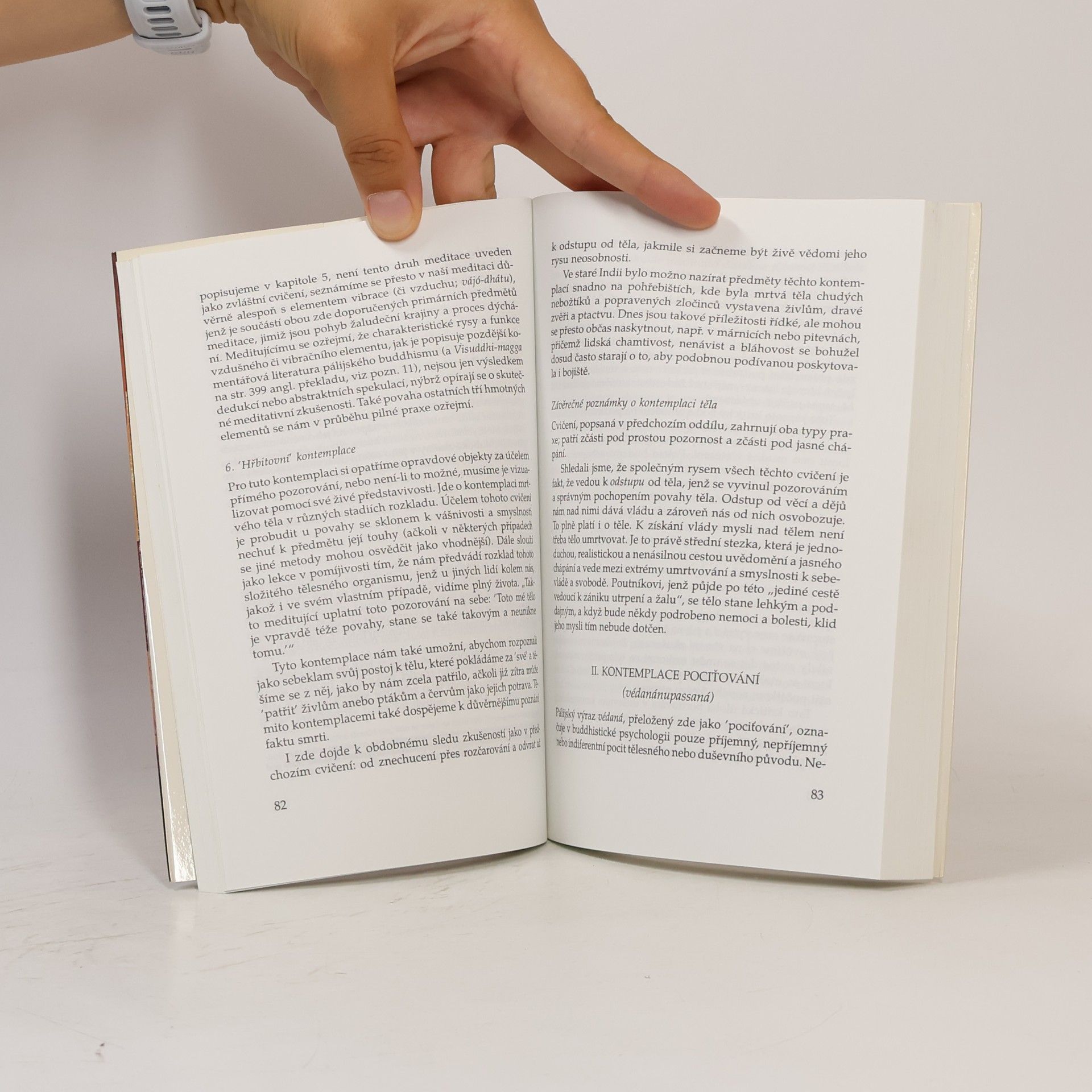Karel Werner Jádro buddhistické meditace : satipatthána : příručka pro výcvik mysli na základě Buddhovy cesty uvědomění : s antologií textů přeložených z pálijštiny a sanskrtu