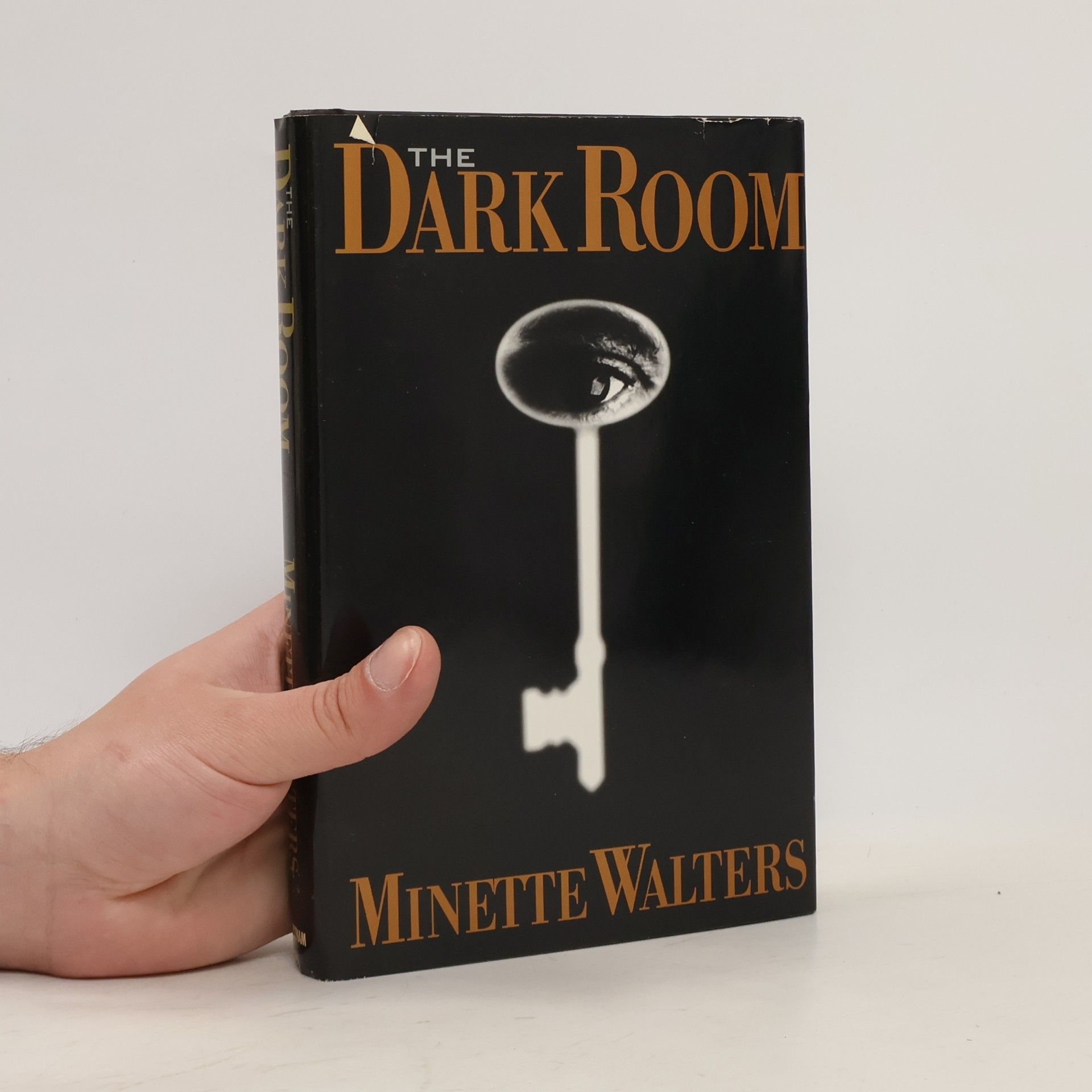 Minette Walter The Dark Room