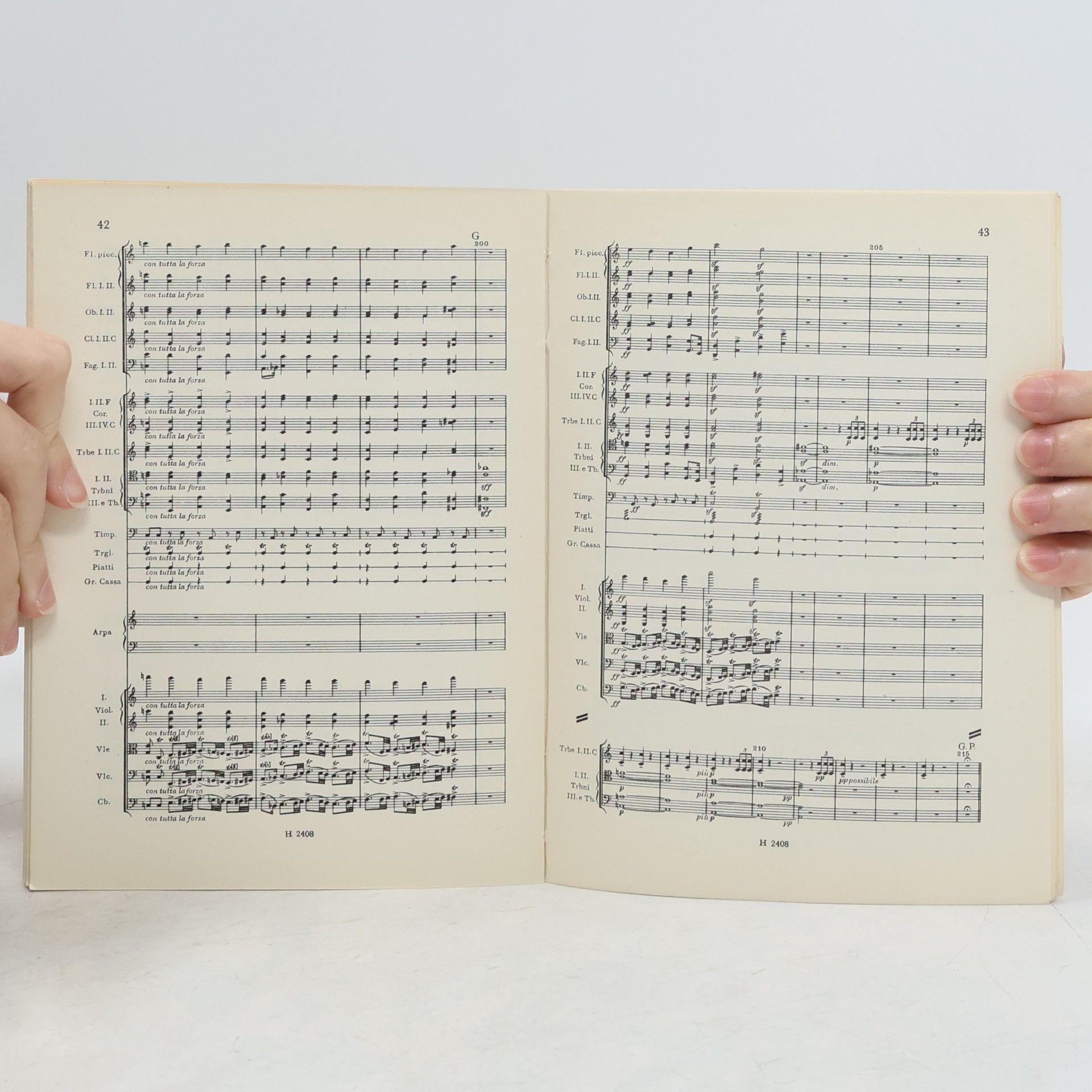 Bedřich Smetana Richard III.