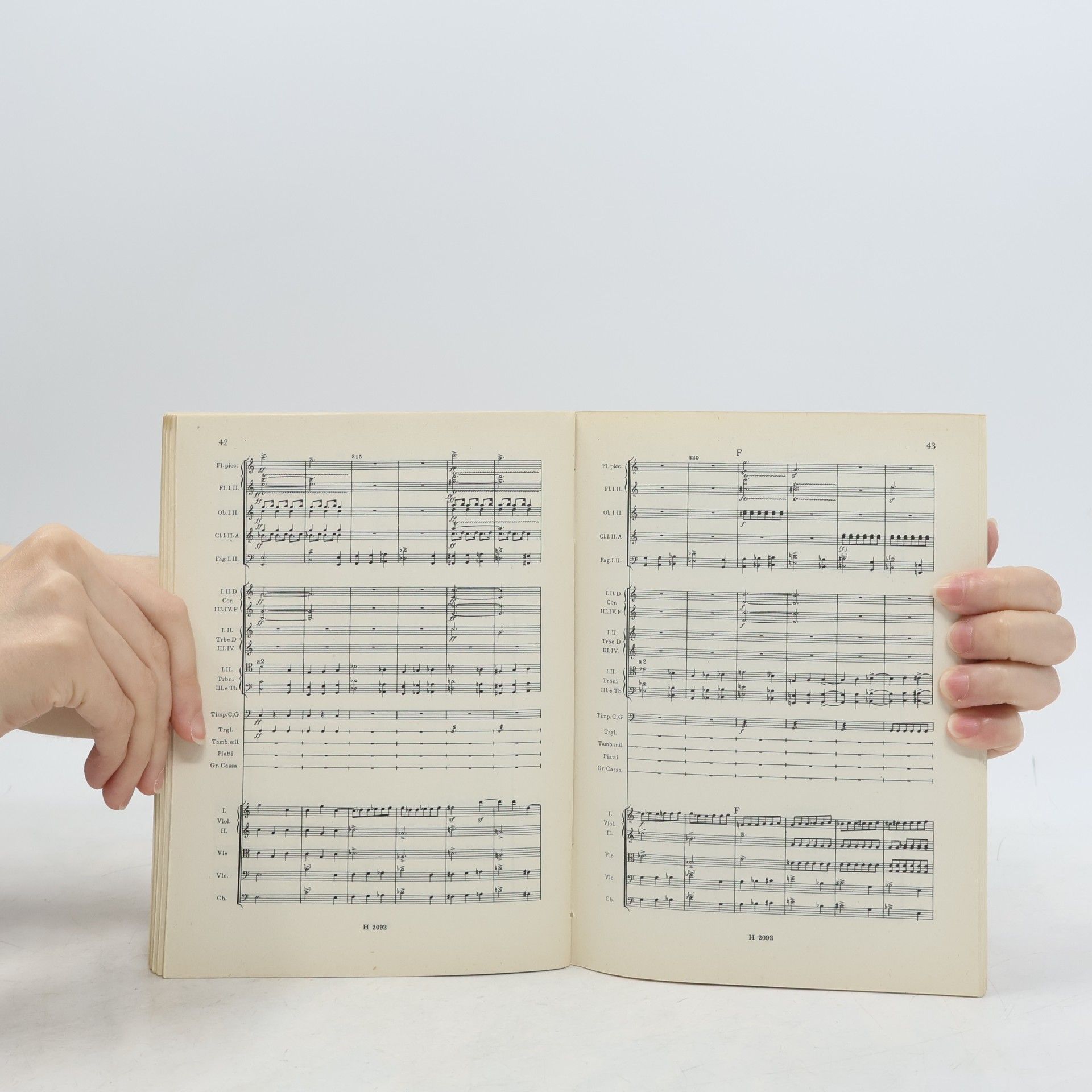 Bedřich Smetana Valdštýnův tábor