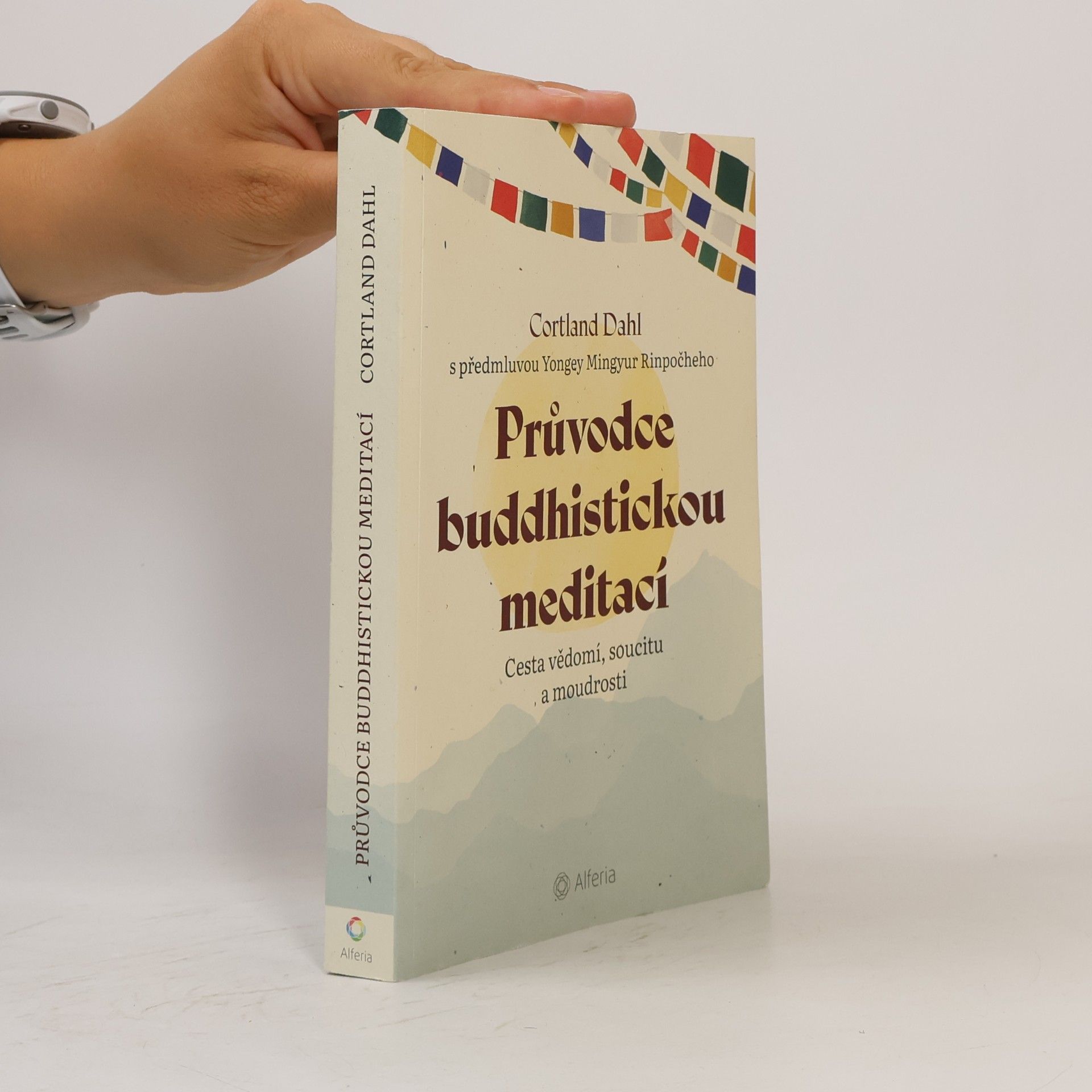 Cortland Dahl Průvodce buddhistickou meditací