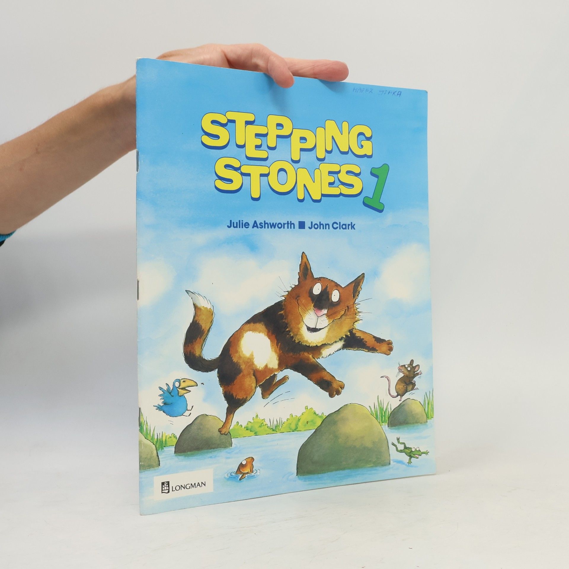 Stepping stones 1