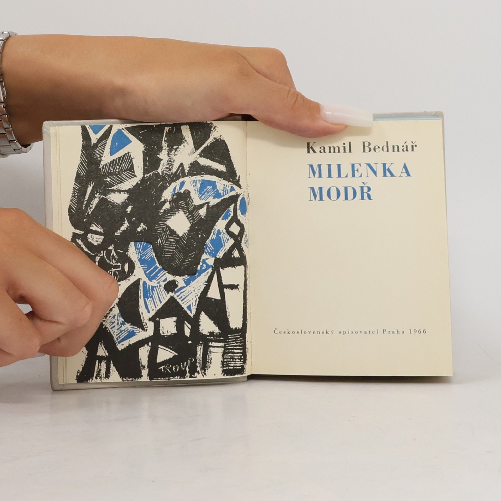 Kamil Bednář Milenka modř