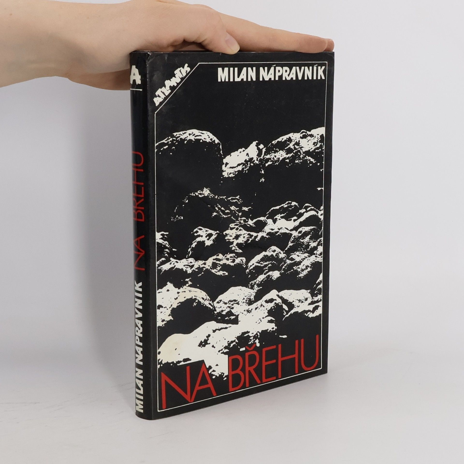 Milan Nápravník Na břehu