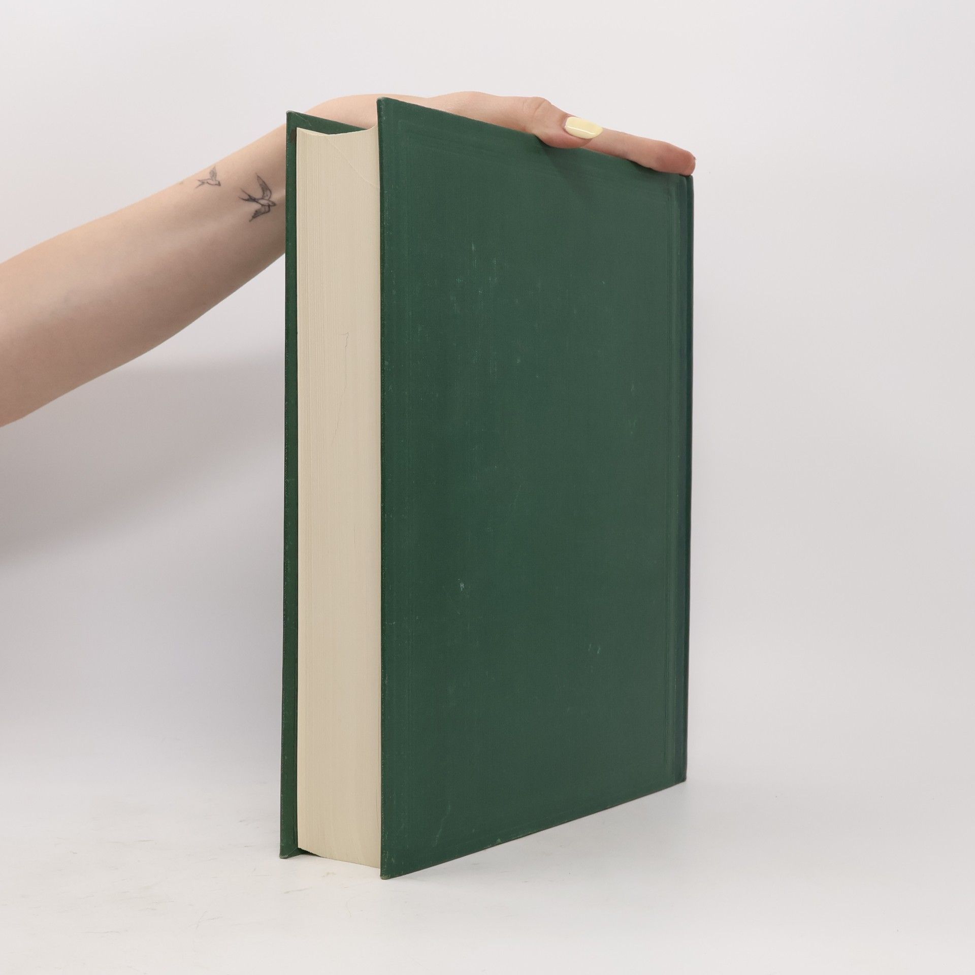Autorenkollektiv Lessico universale italiano XIV