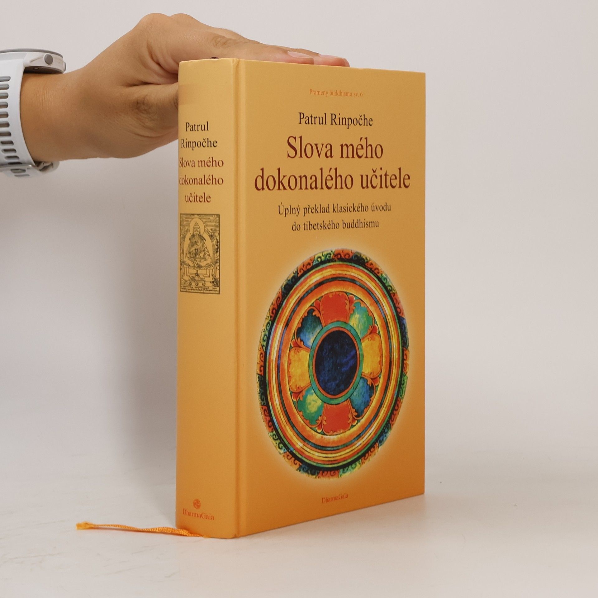 Patrul Rinpočhe Slova mého dokonalého učitele