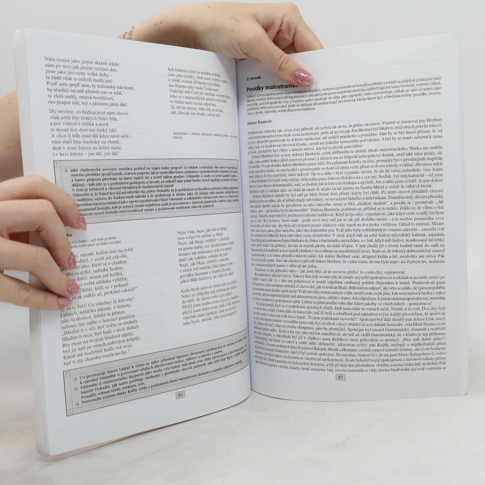 Marie Sochrová Čítanka k literatuře v kostce II