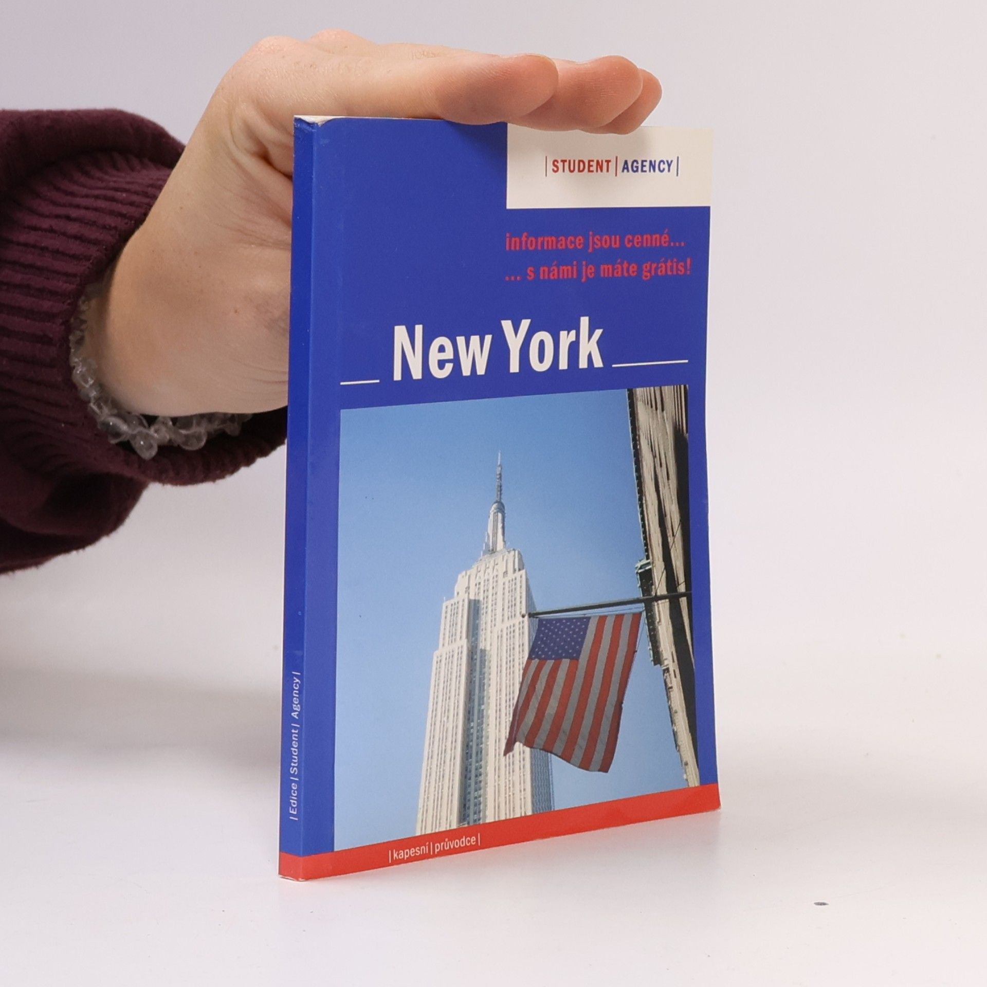 Martine Lamunière New York