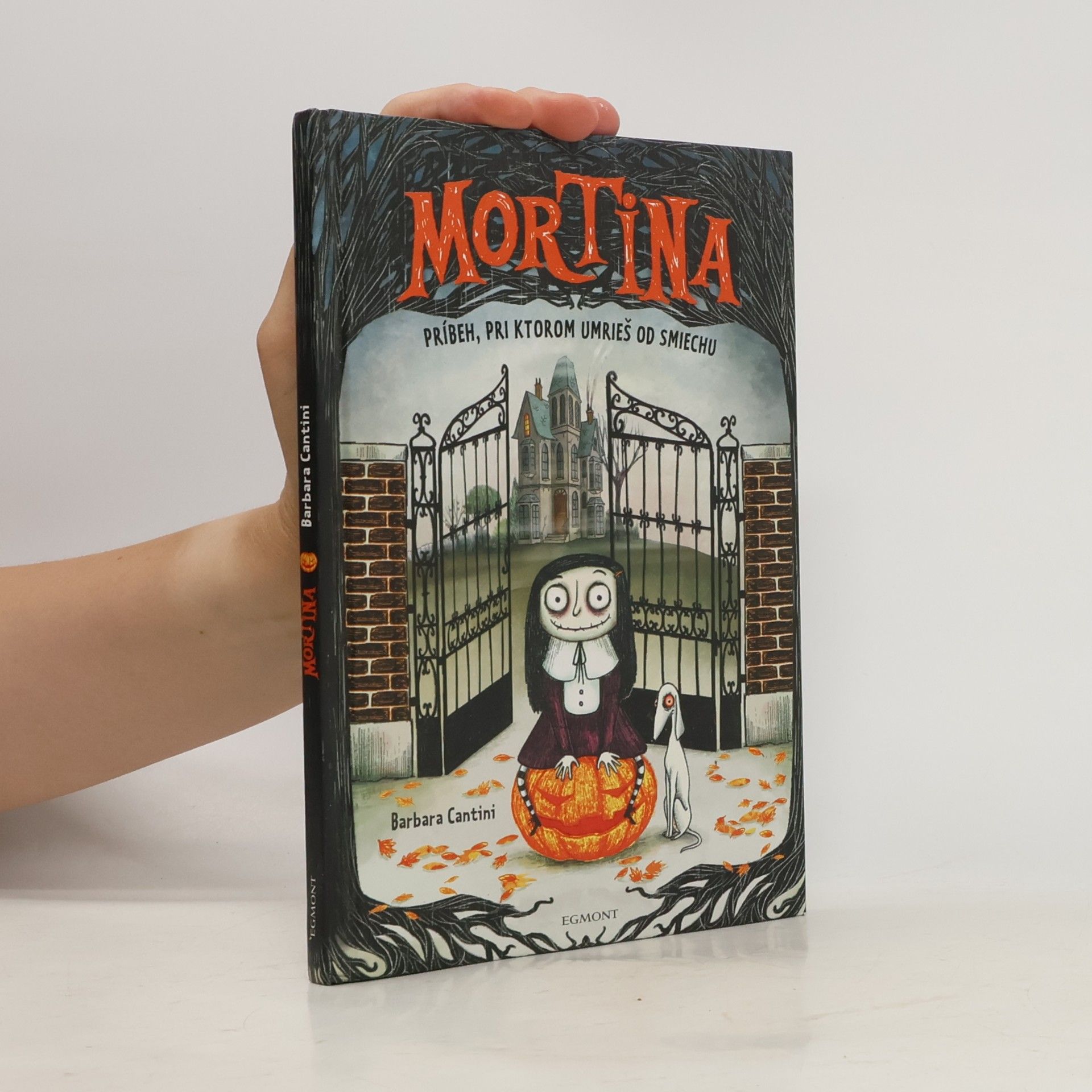 Barbara Cantini Mortina