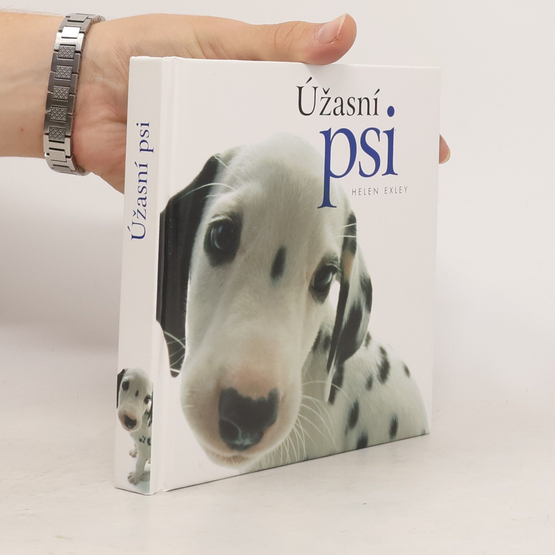 Yoneo Morita Úžasní psi