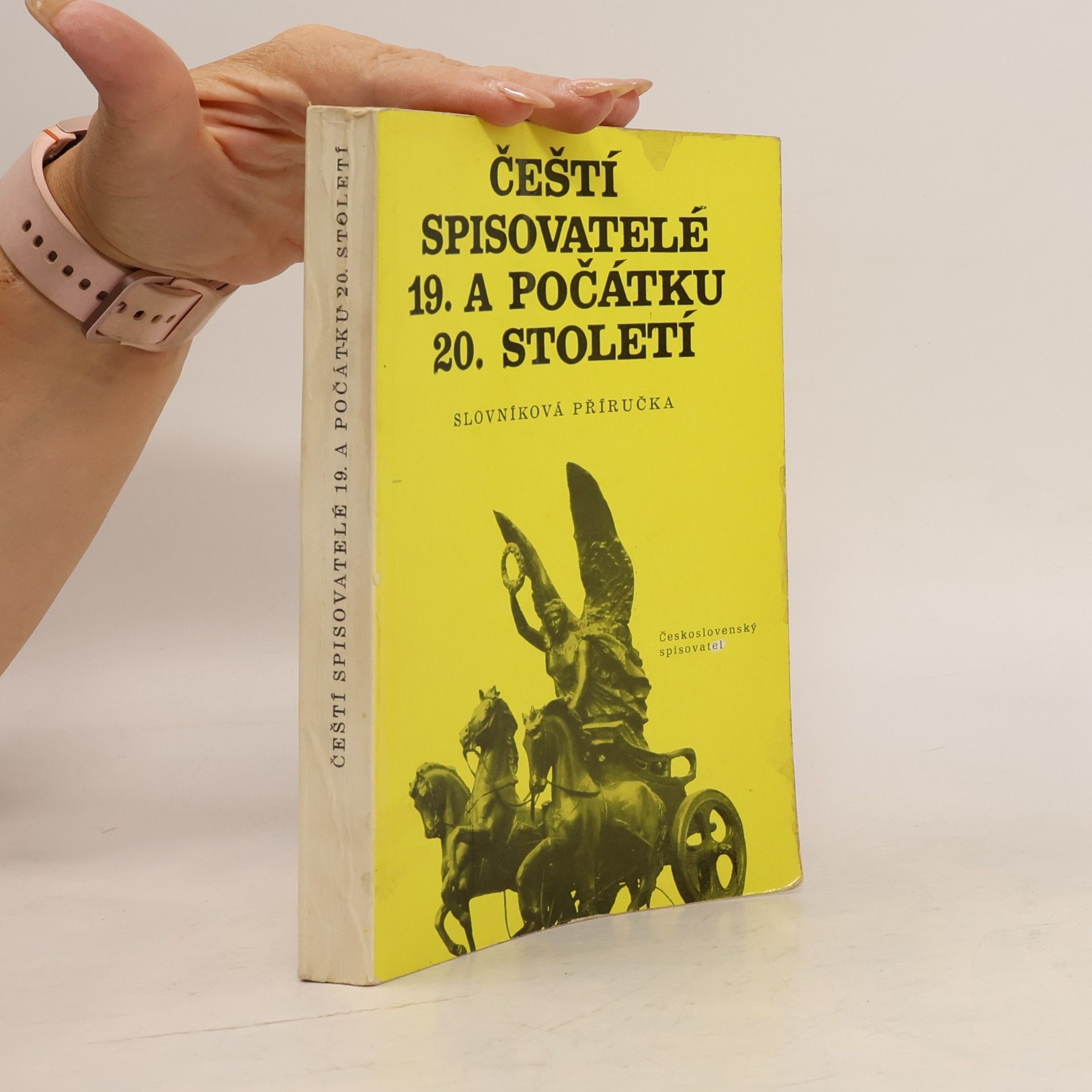 Kolektiv autorů Čeští spisovatelé 19. a počátku 20. století