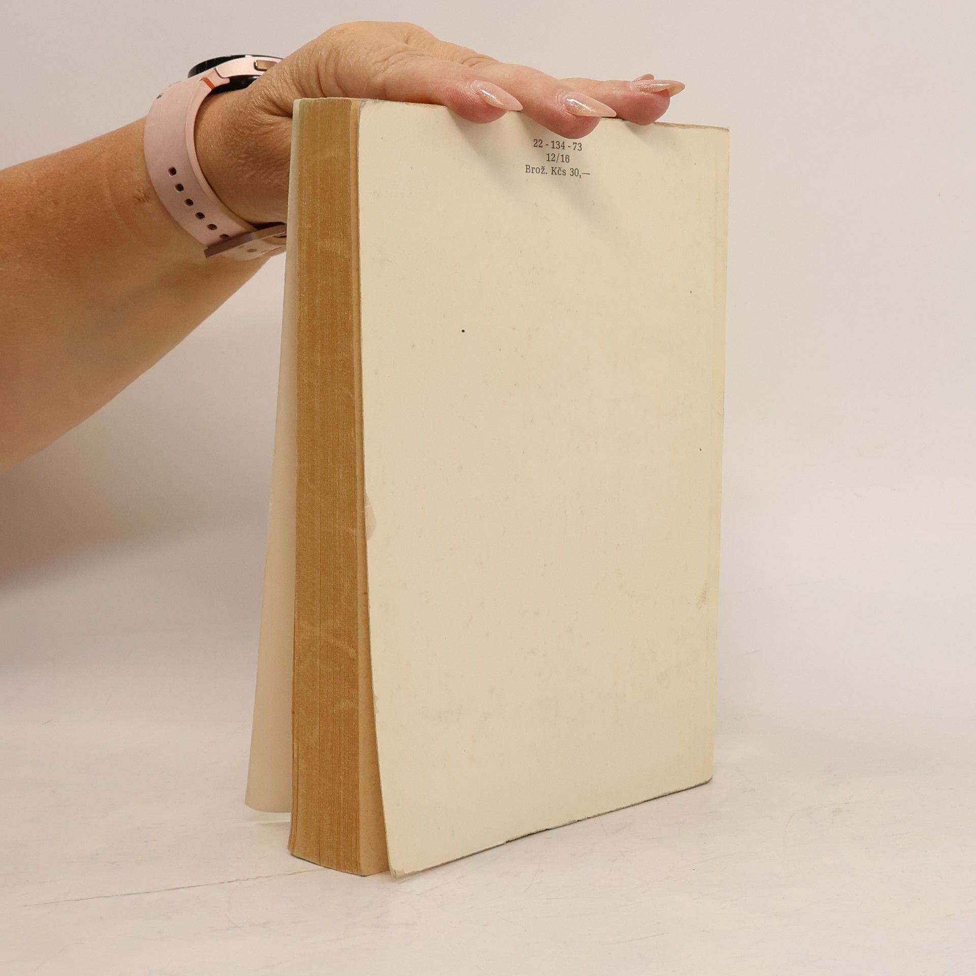 Kolektiv autorů Čeští spisovatelé 19. a počátku 20. století