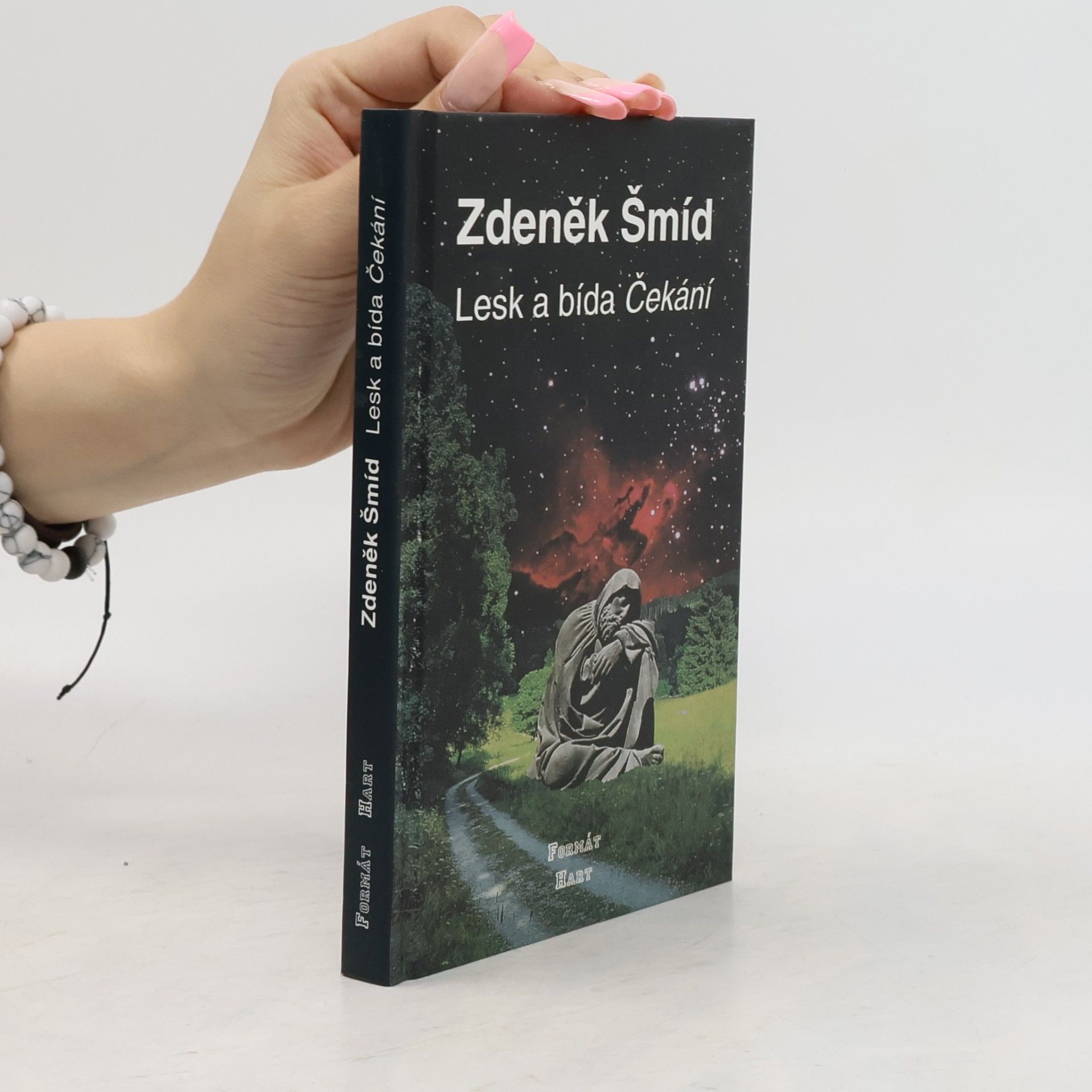 Lesk a bída Čekání