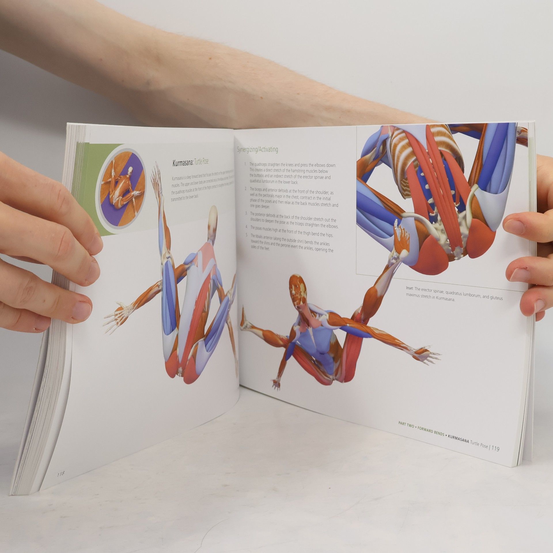 Ray Long Key Poses of Yoga: the Scientific Keys Vol 2
