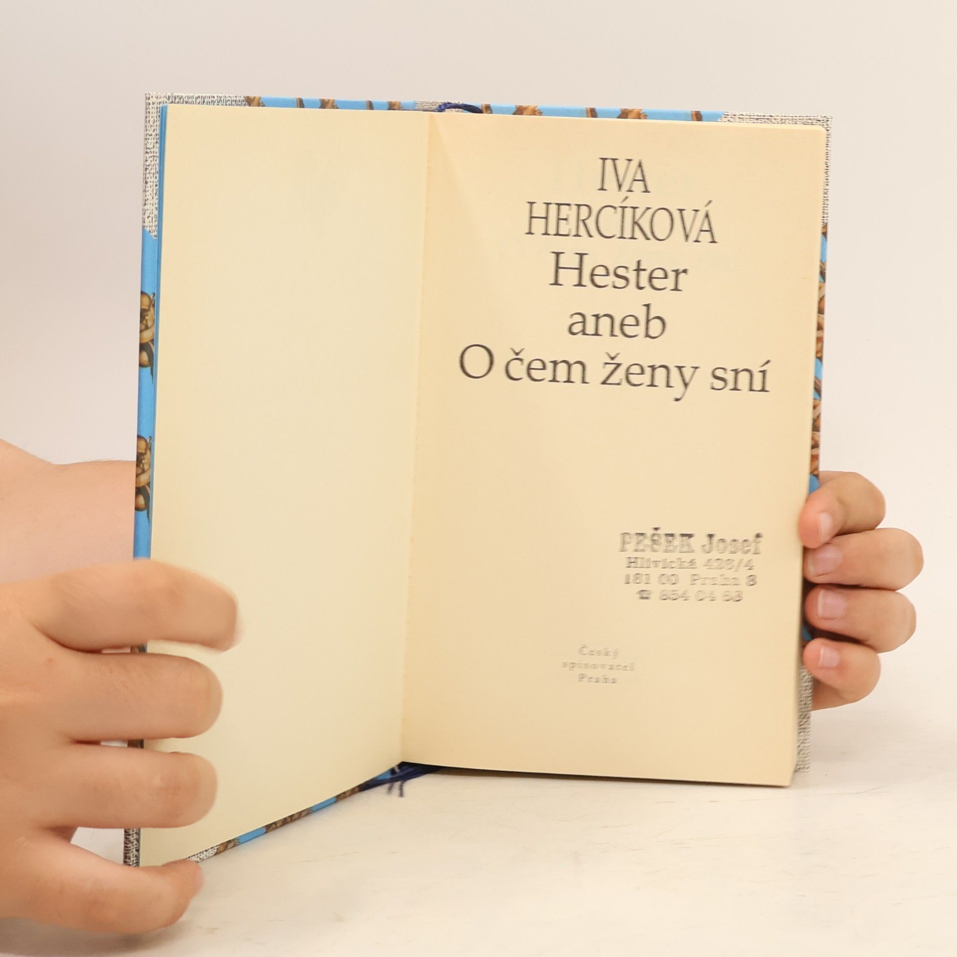 Iva Hercíková Hester aneb O čem ženy sní