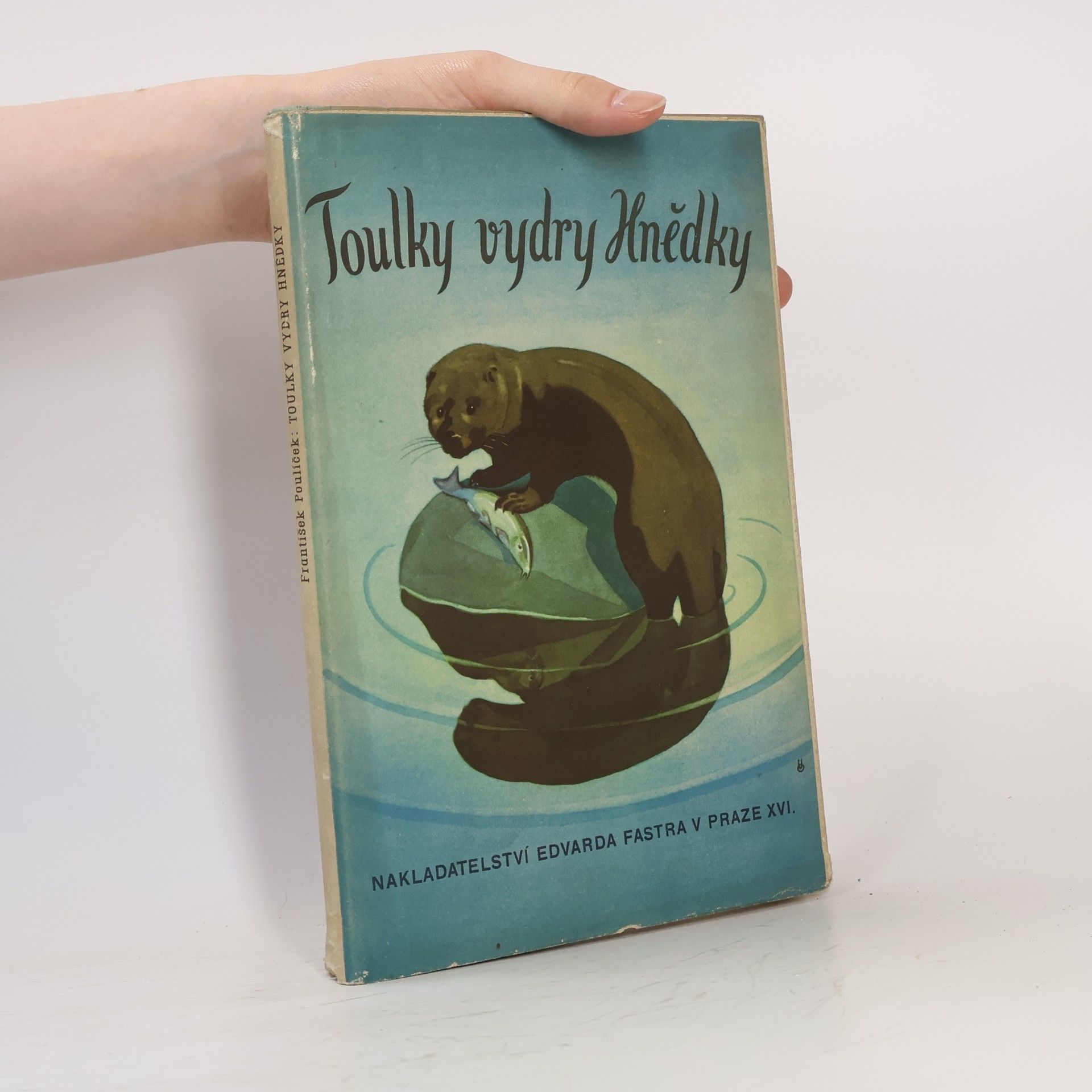 Toulky vydry hnědky
