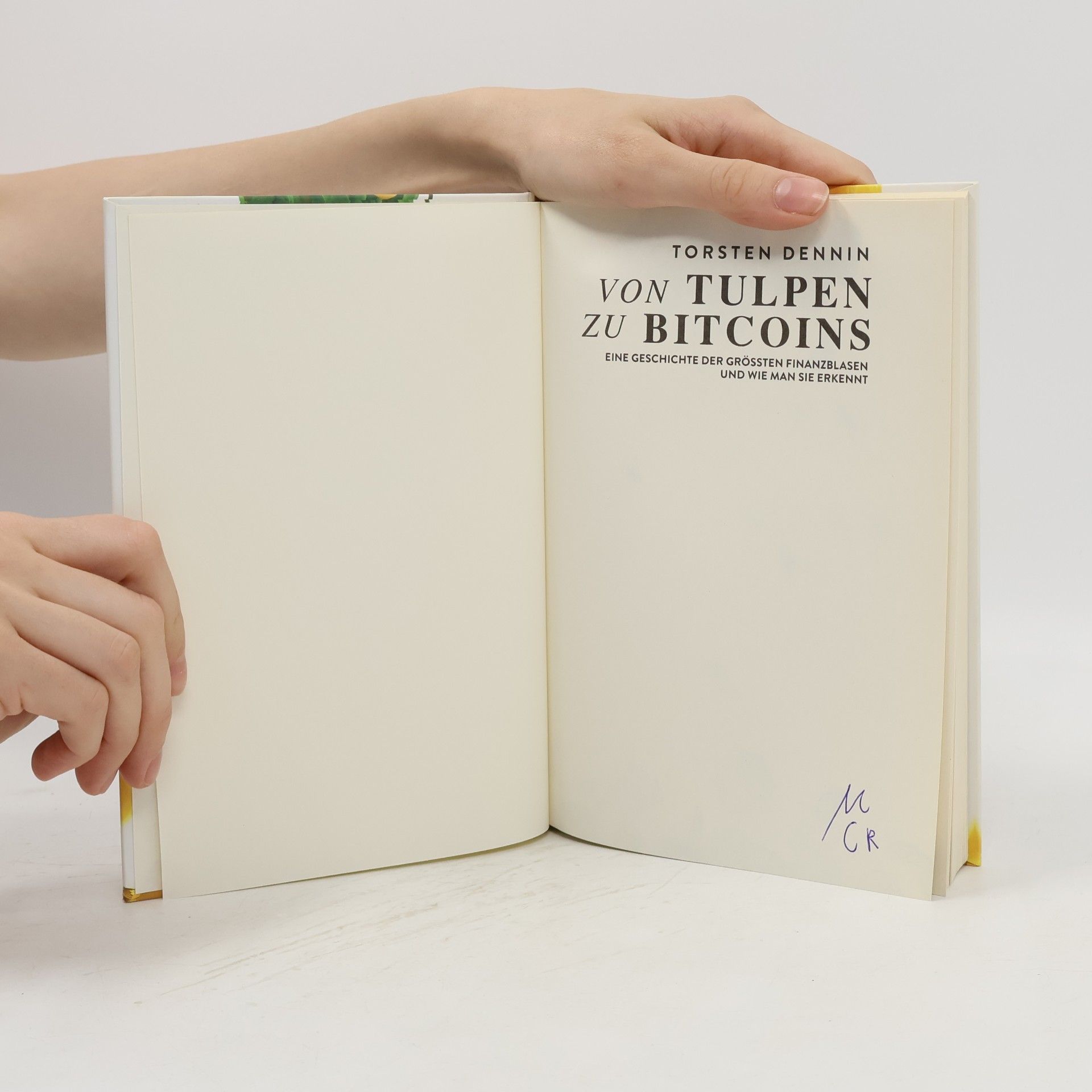 Torsten Dennin Von Tulpen zu Bitcoins