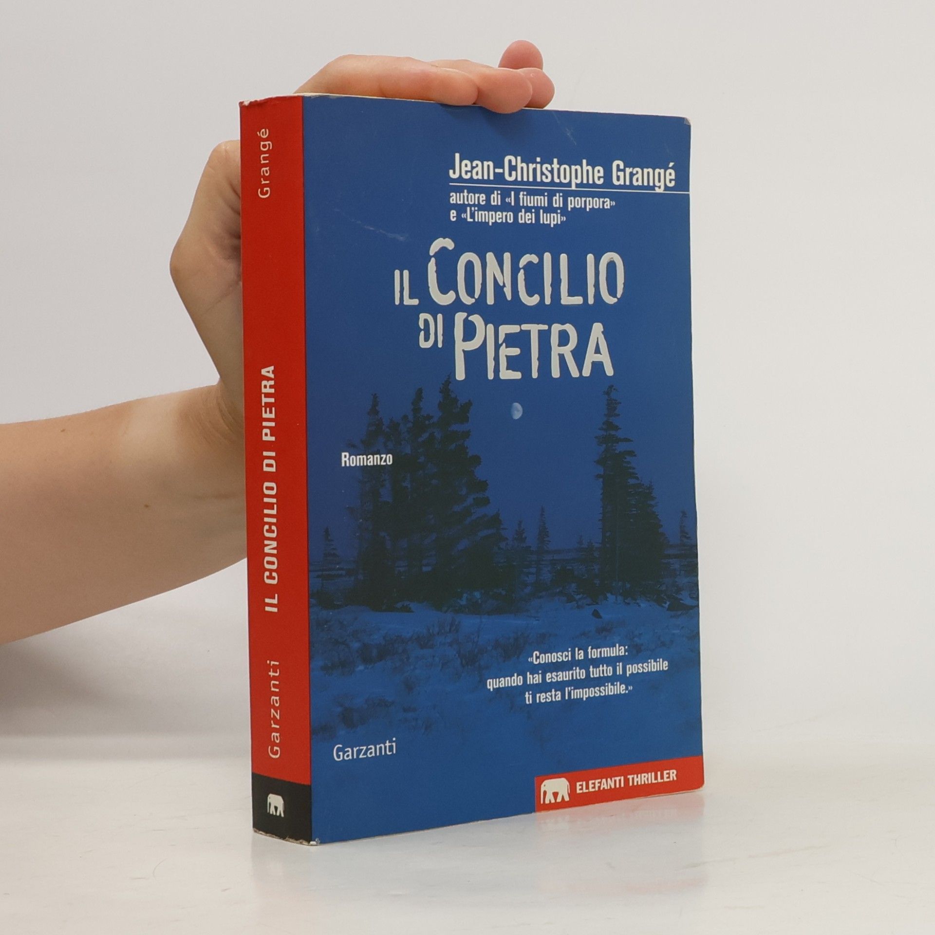 Gli elefanti. Thriller: Il concilio di pietra