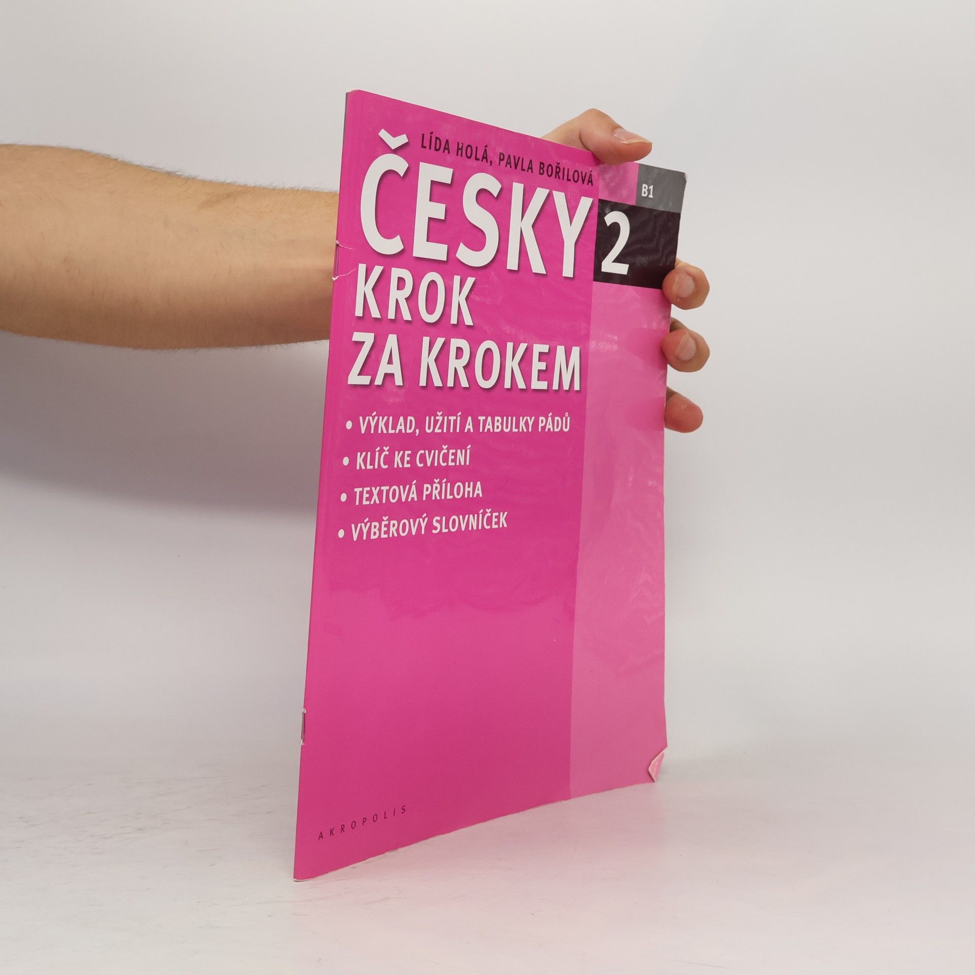 Lída Holá Česky krok za krokem 2. B1 (Příloha)