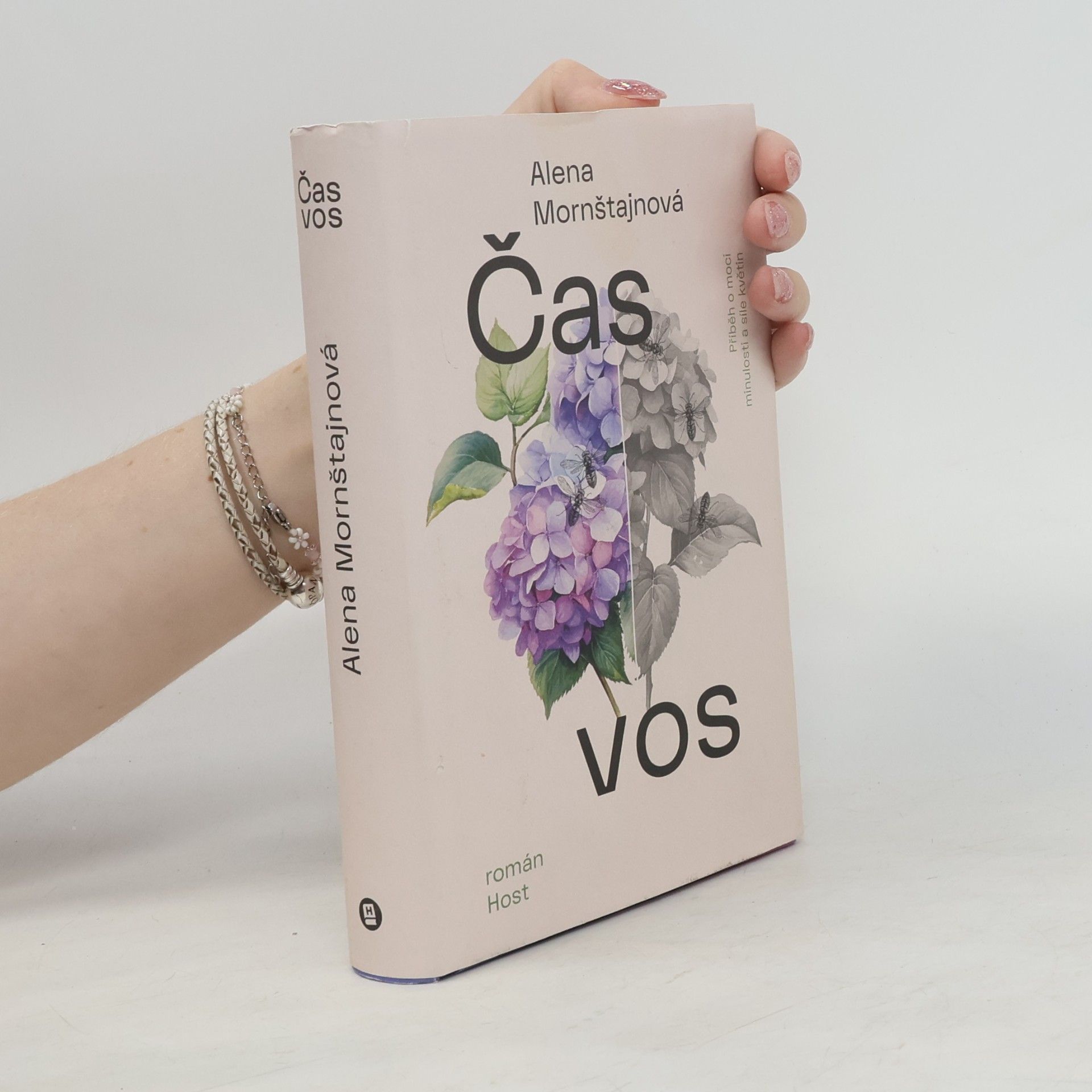 Alena Mornštajnová Čas vos