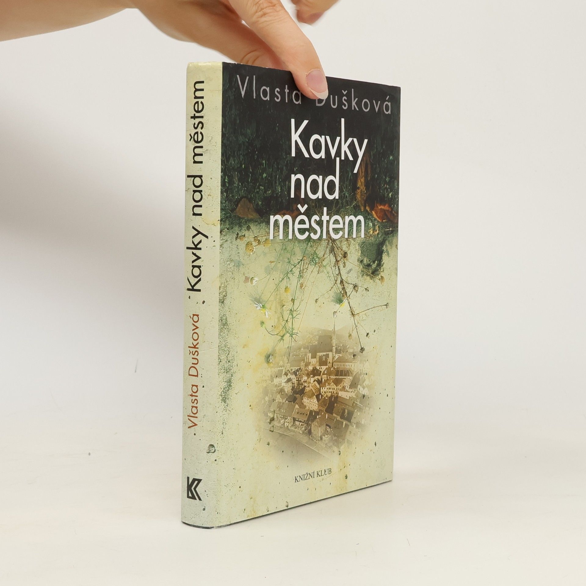 Kavky nad městem