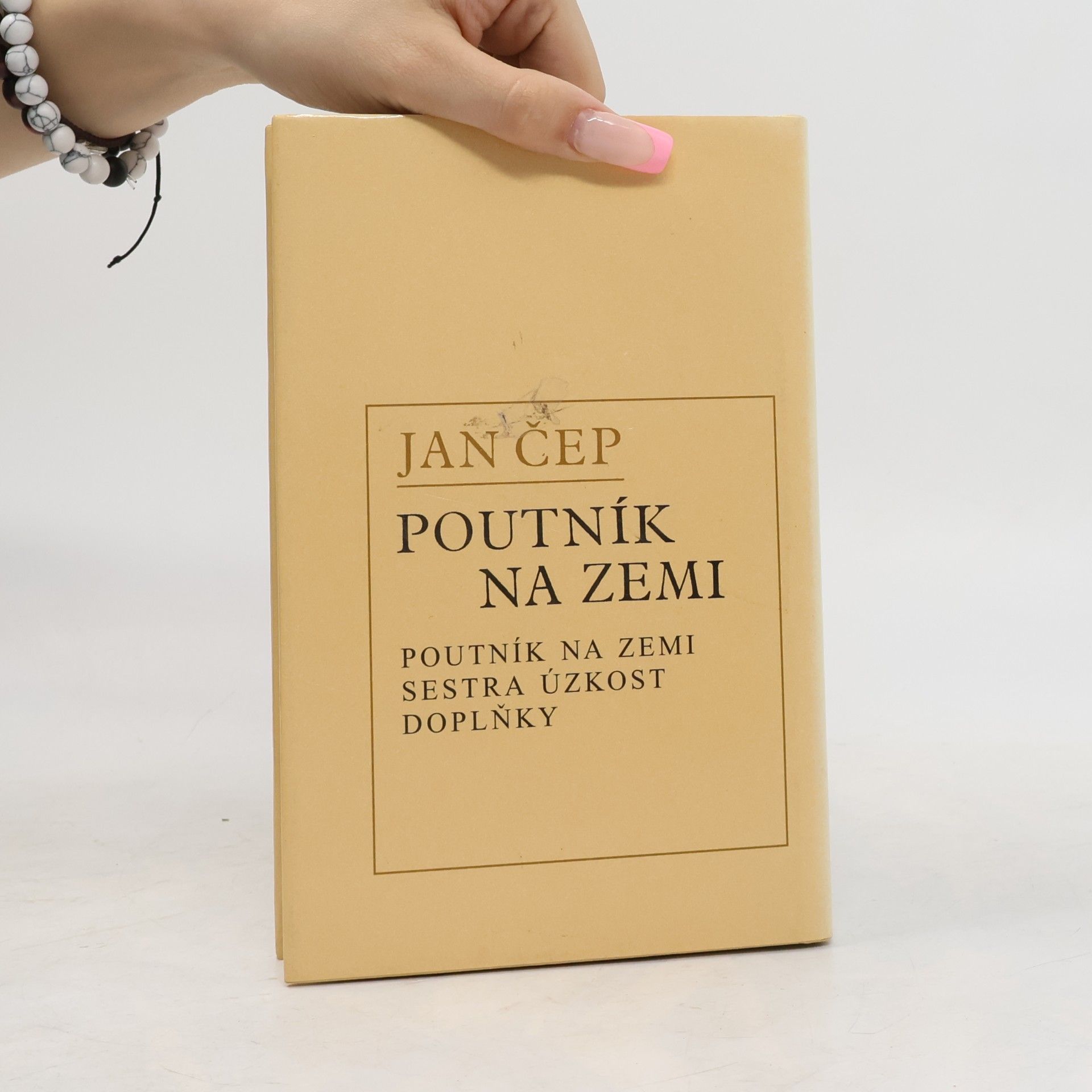 Jan Čep Poutník na zemi