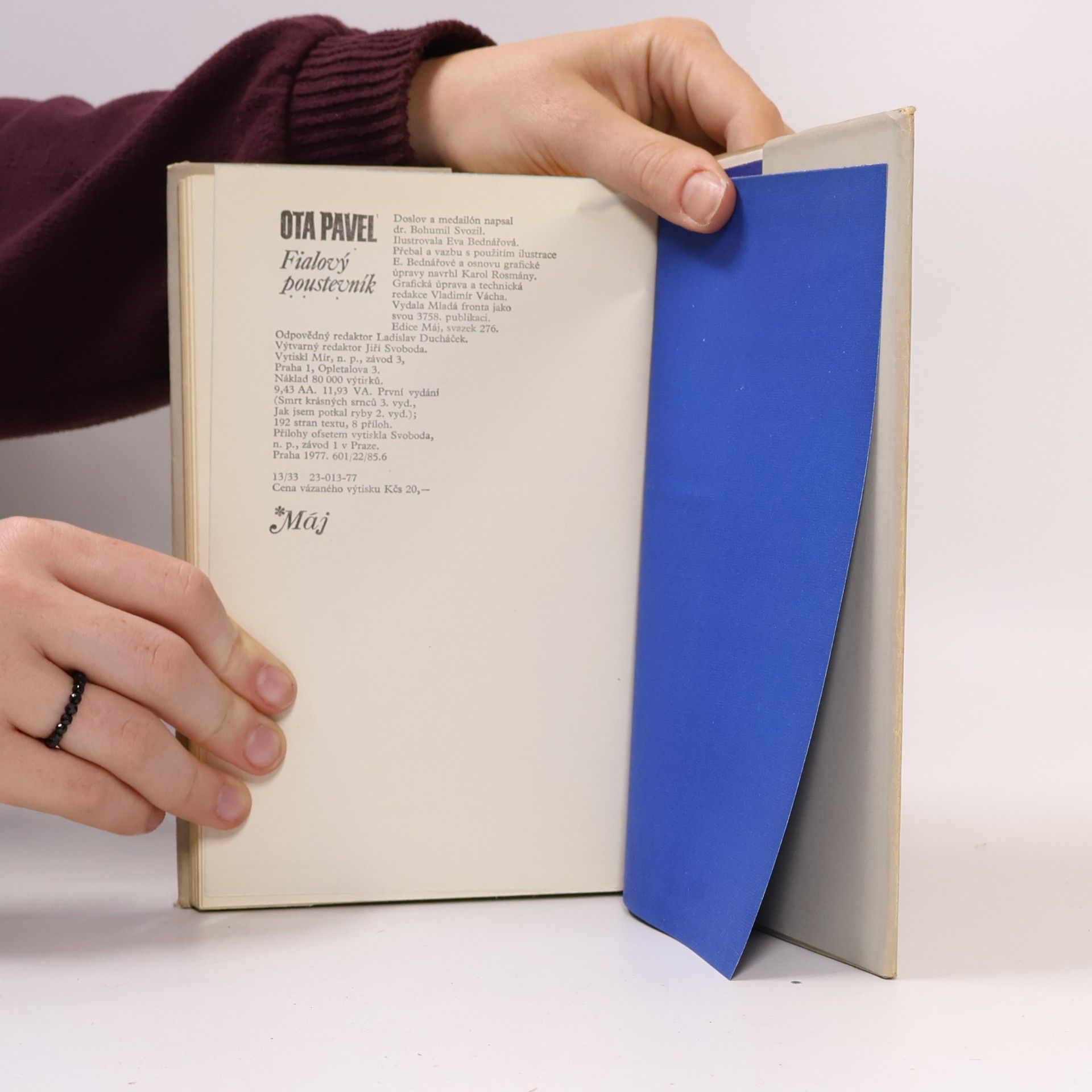 Ota Pavel Fialový poustevník