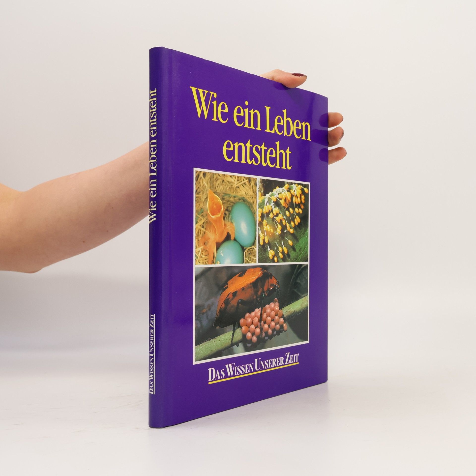 Autores varios Wie ein Leben entsteht