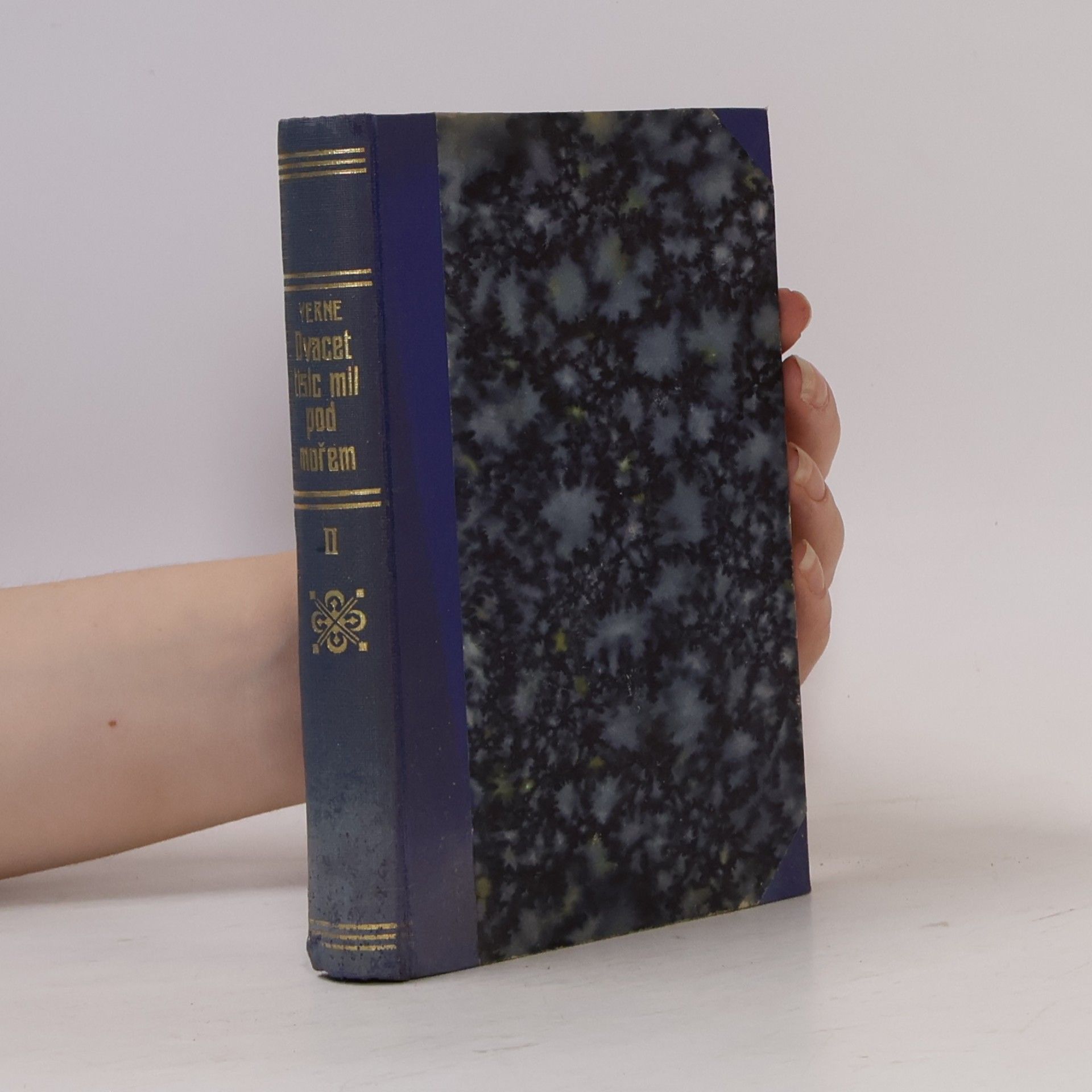 Jules Verne Dvacet tisíc mil pod mořem I