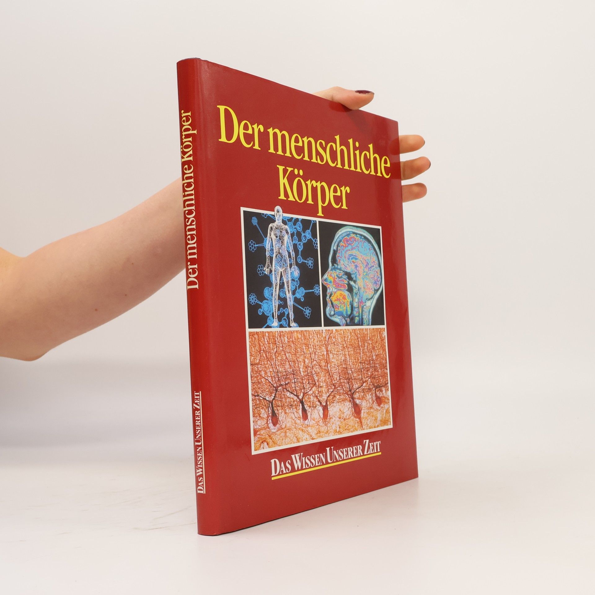 Kolektív autorov Der menschliche Körper