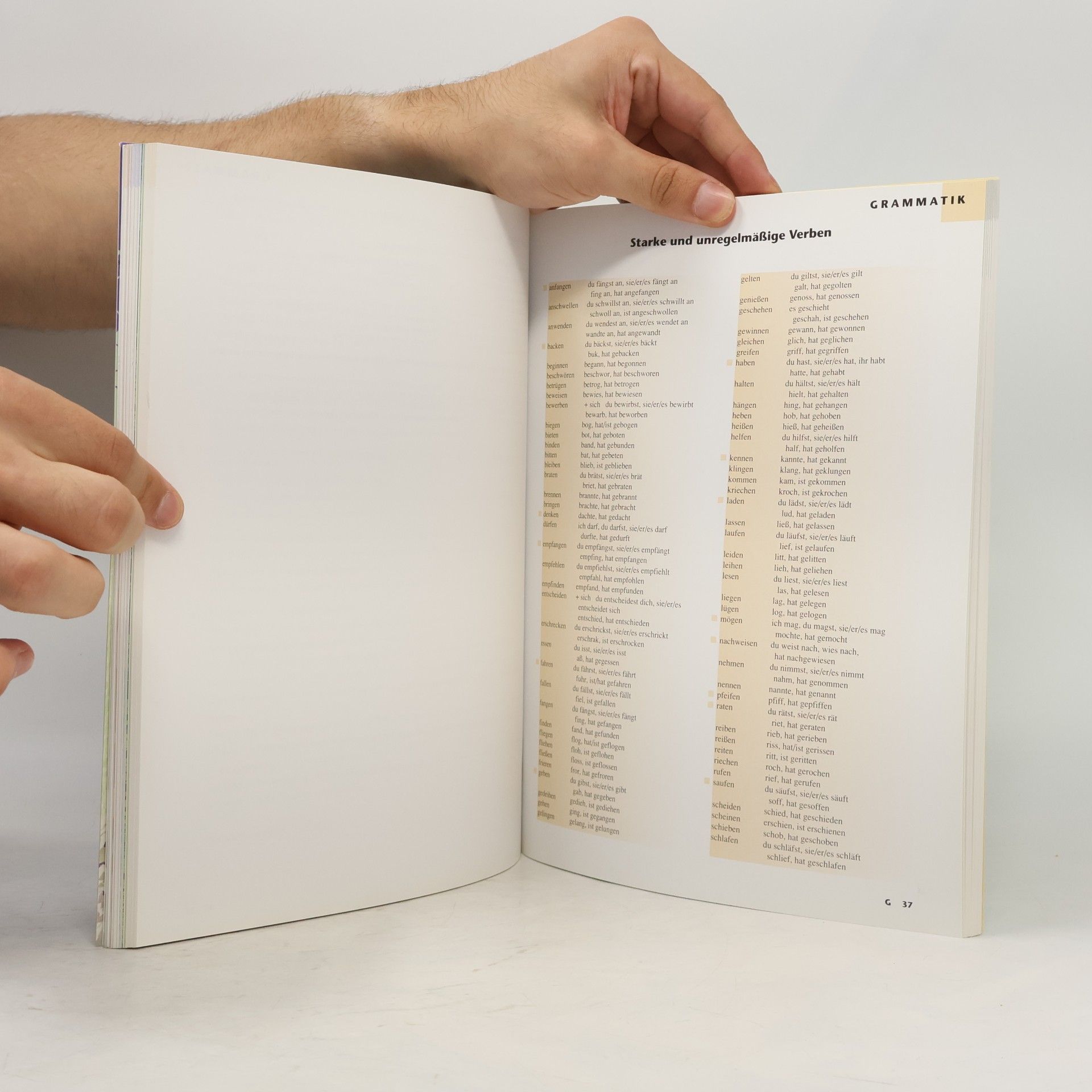 Rosa-Maria Dallapiazza Tangram 2B : Deutsch als Fremdsprache : Kurs- und Arbeitsbuch