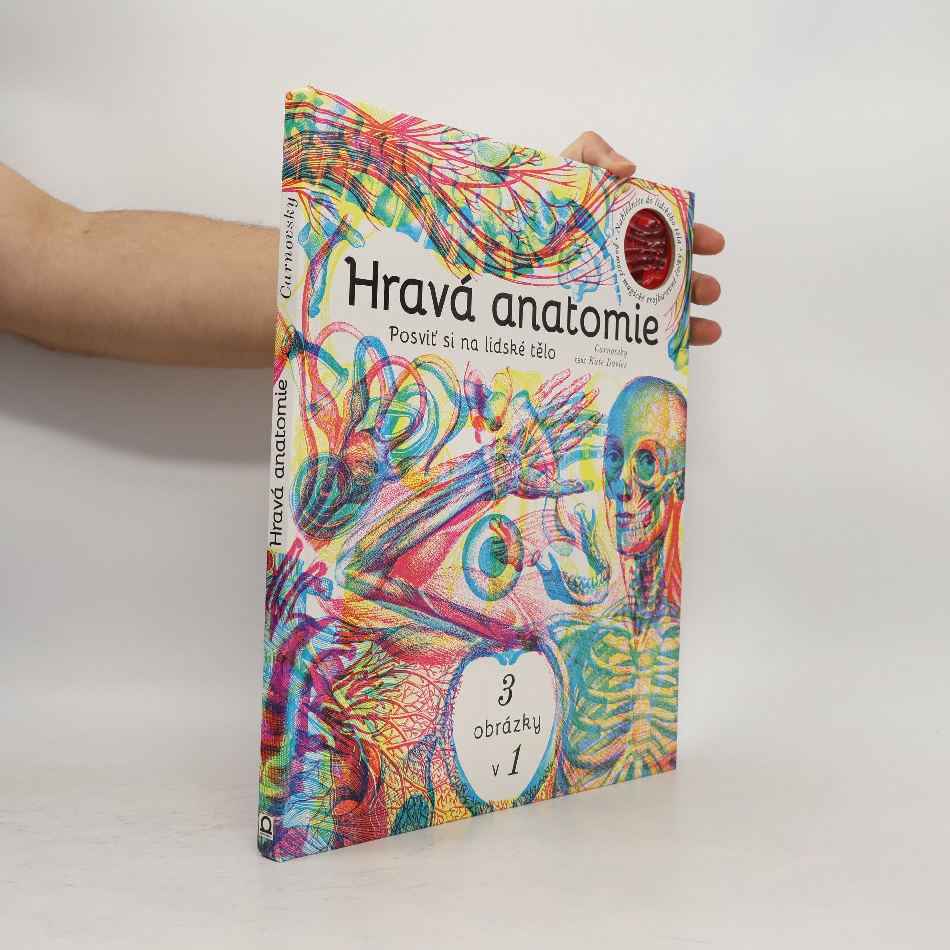 Katie Davies Hravá anatomie - posviť si na lidské tělo