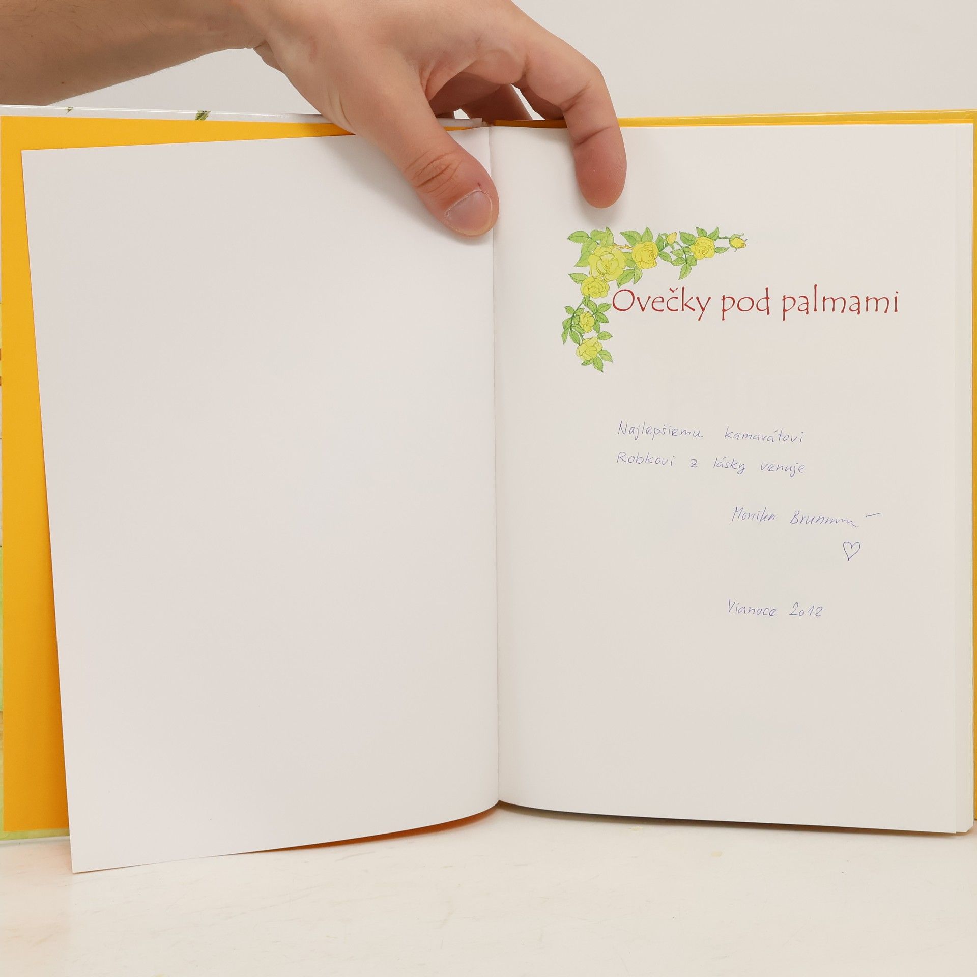 Anna Olšovská Ovečky pod palmami