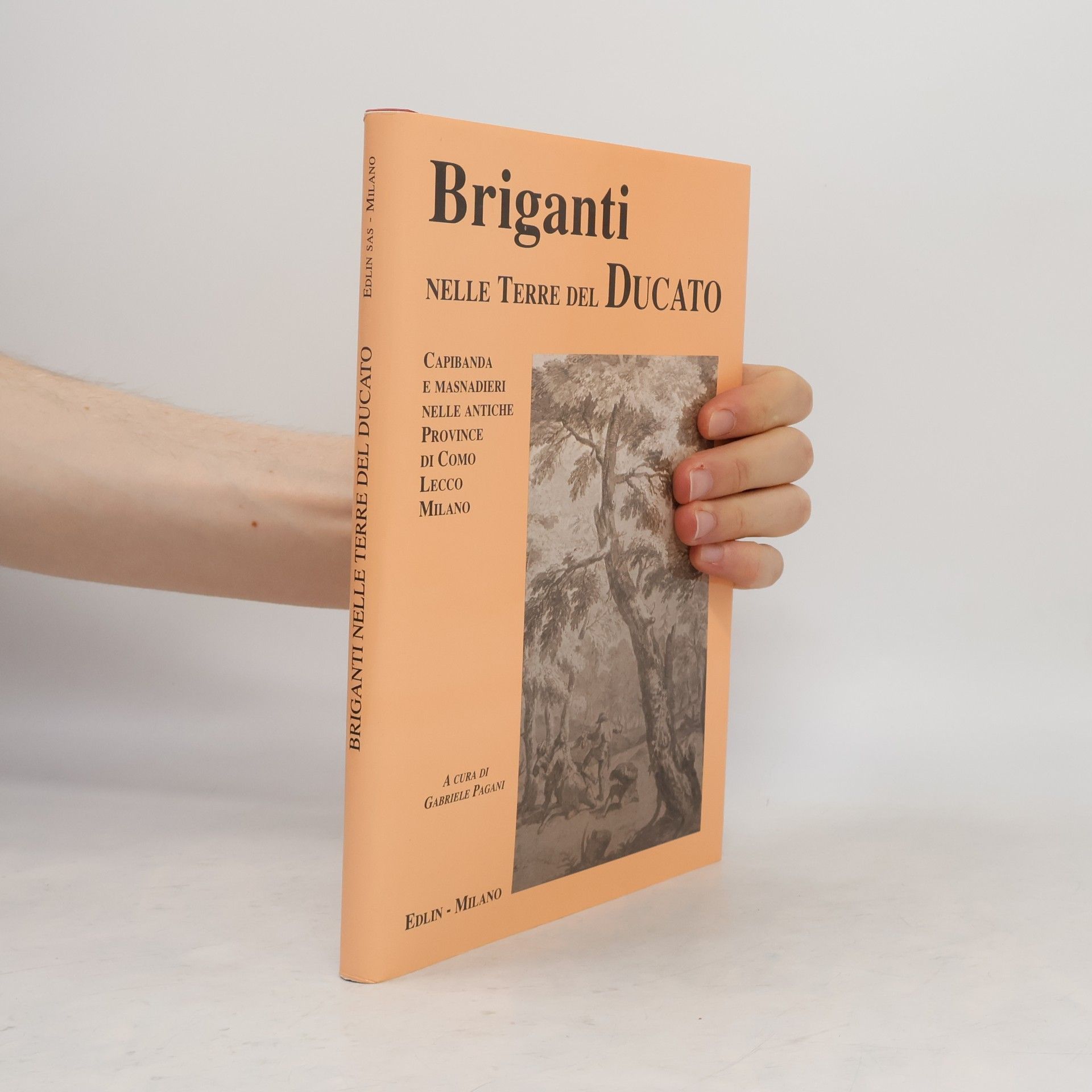 Gabriele Pagani Briganti nelle terre del ducato