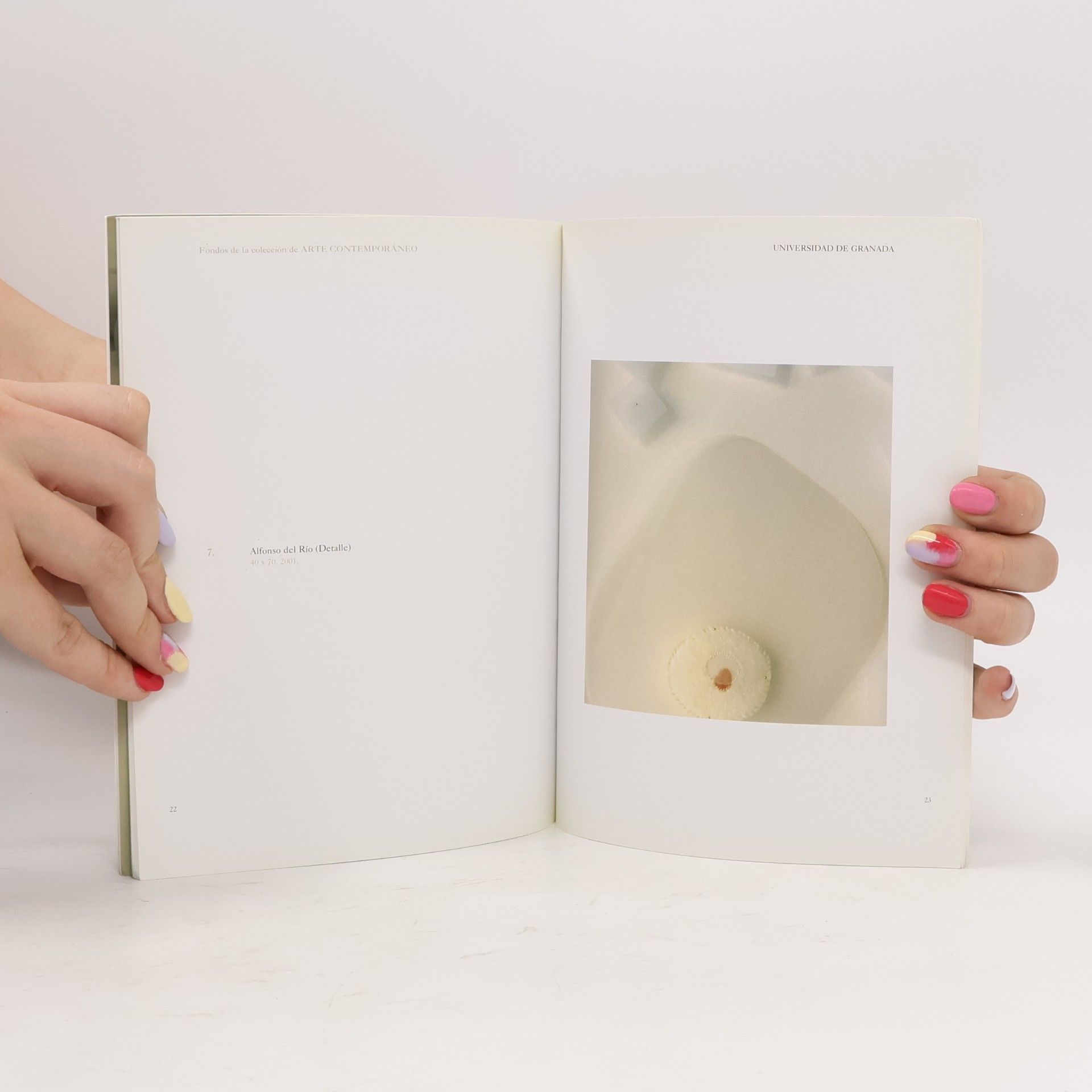 Francisco José Sánchez Montalbán Fondos de la colección de Arte Contemporáneo