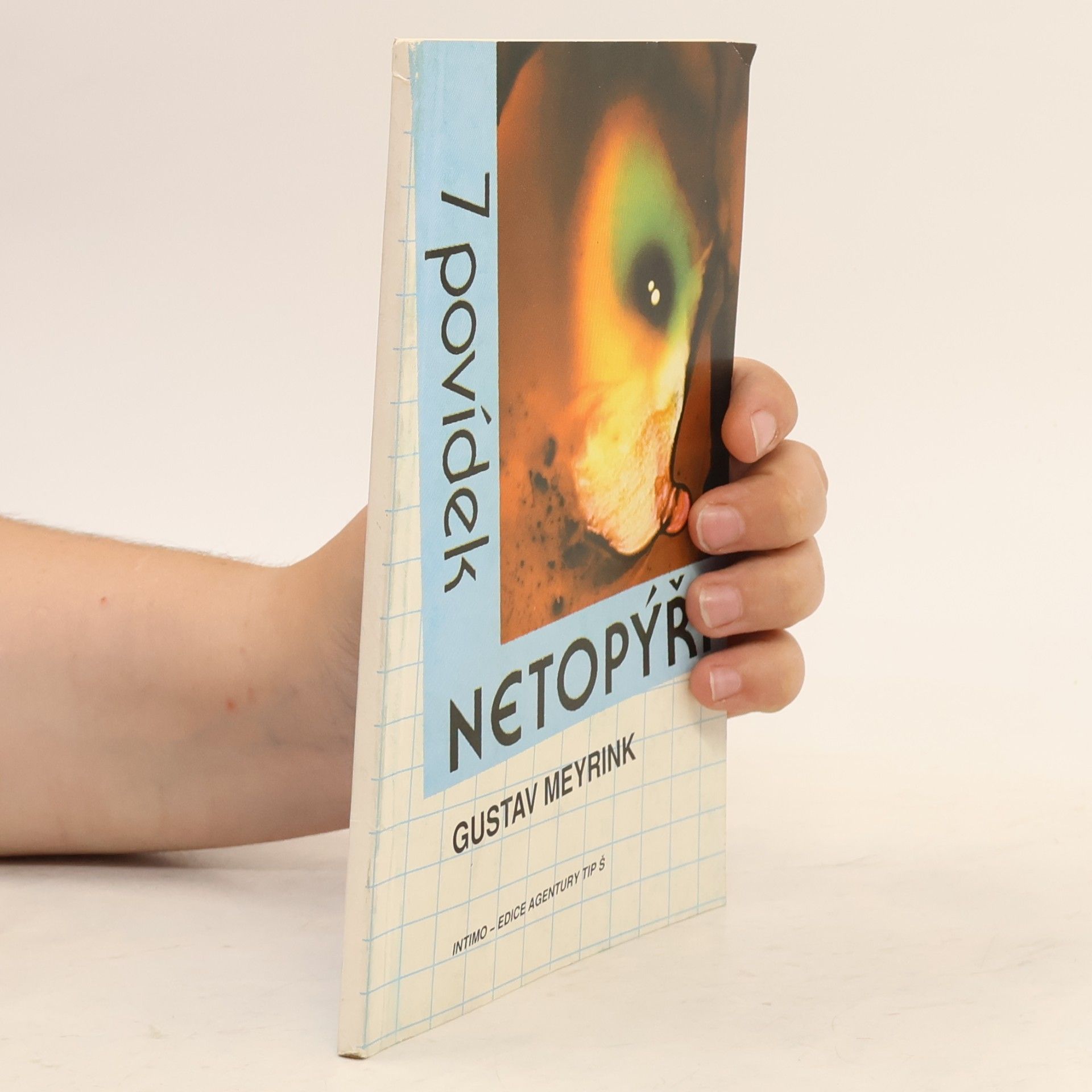 Gustav Meyrink 7 povídek. Netopýři