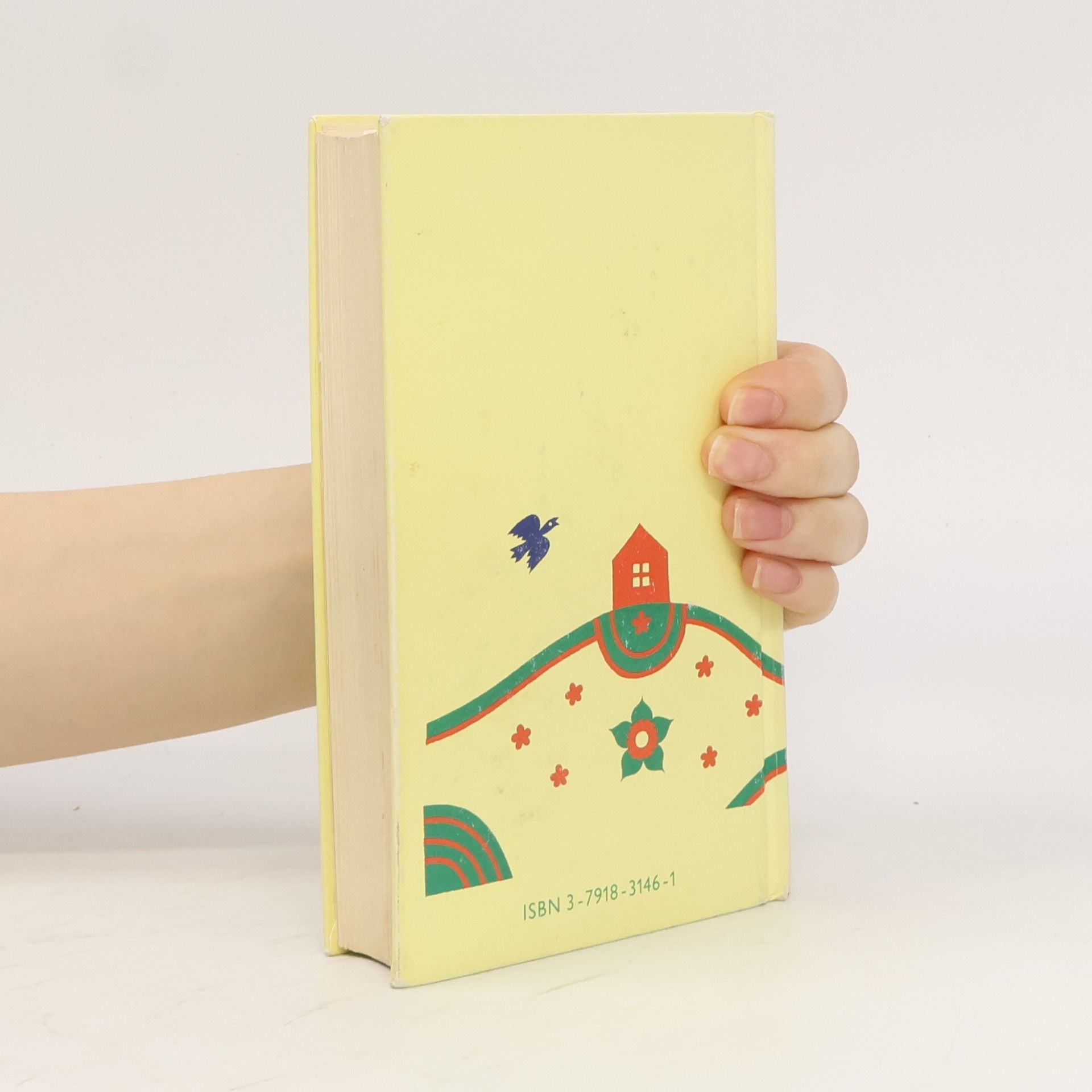 Autores varios Liederbuch für die Jugend