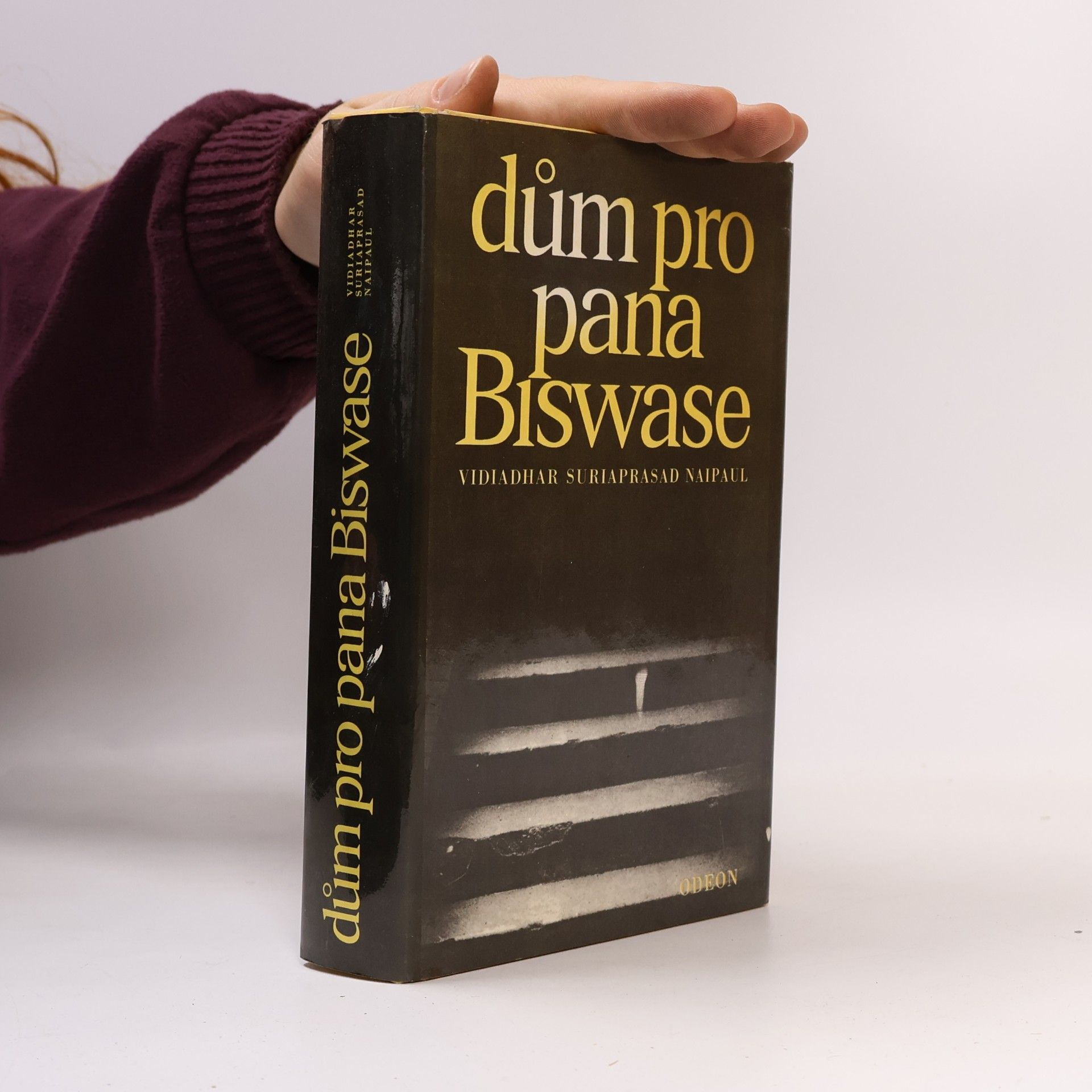 V. S. Naipaul Dům pro pana Biswase