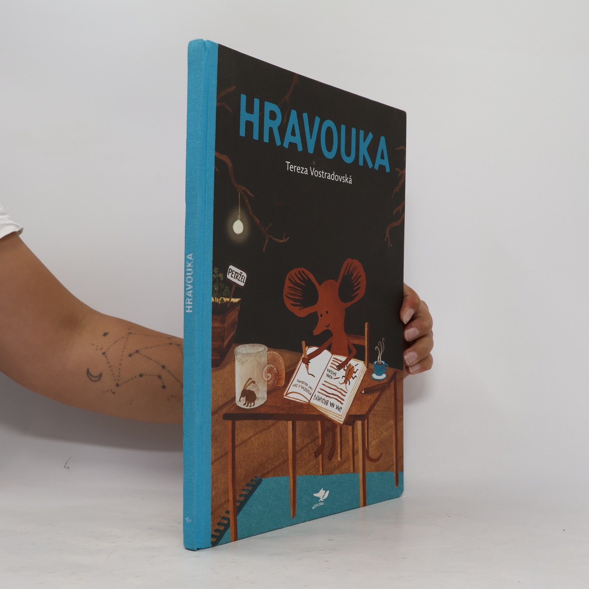 Tereza Vostradovská Hravouka