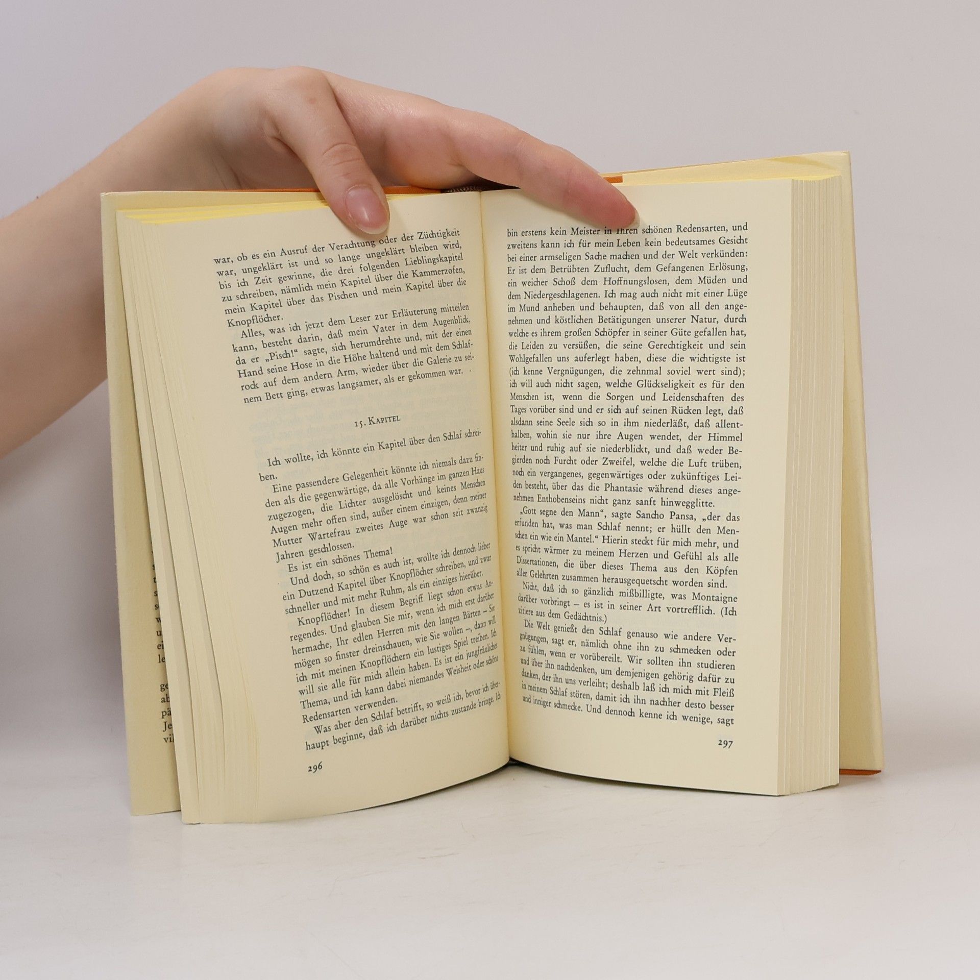 Laurence Sterne Das Leben und die Meinungen des Tristram Shandy