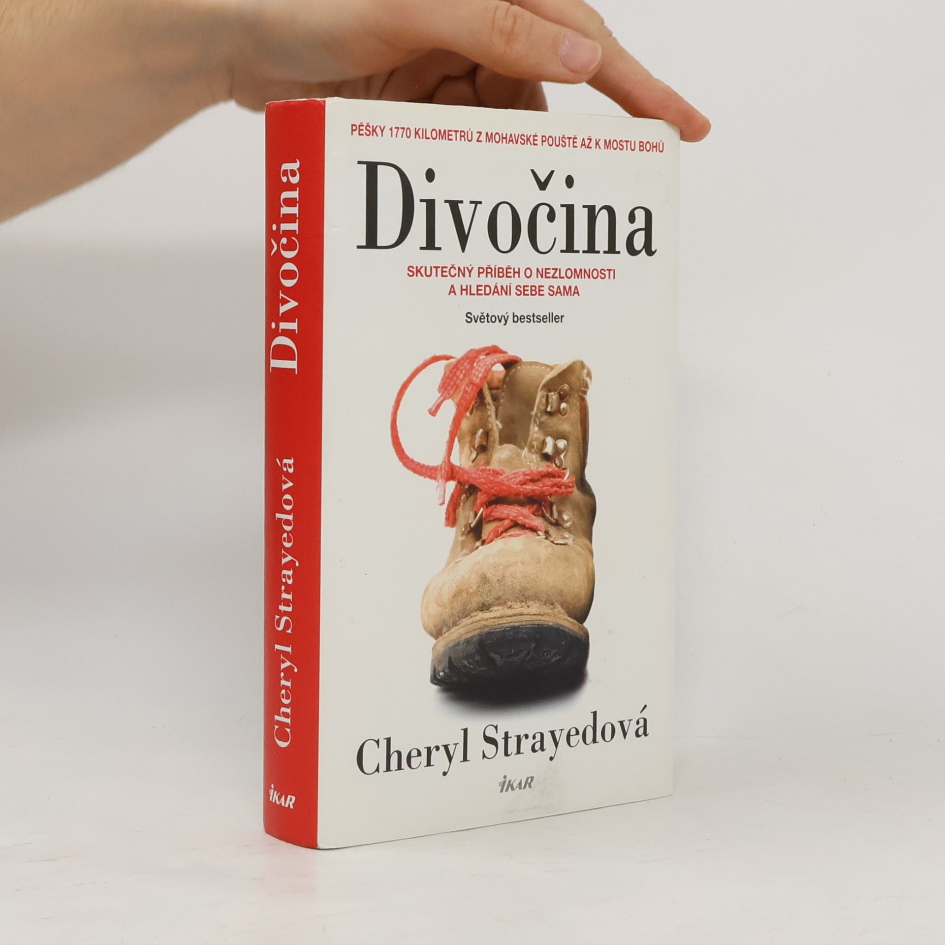 Cheryl Strayed Divočina