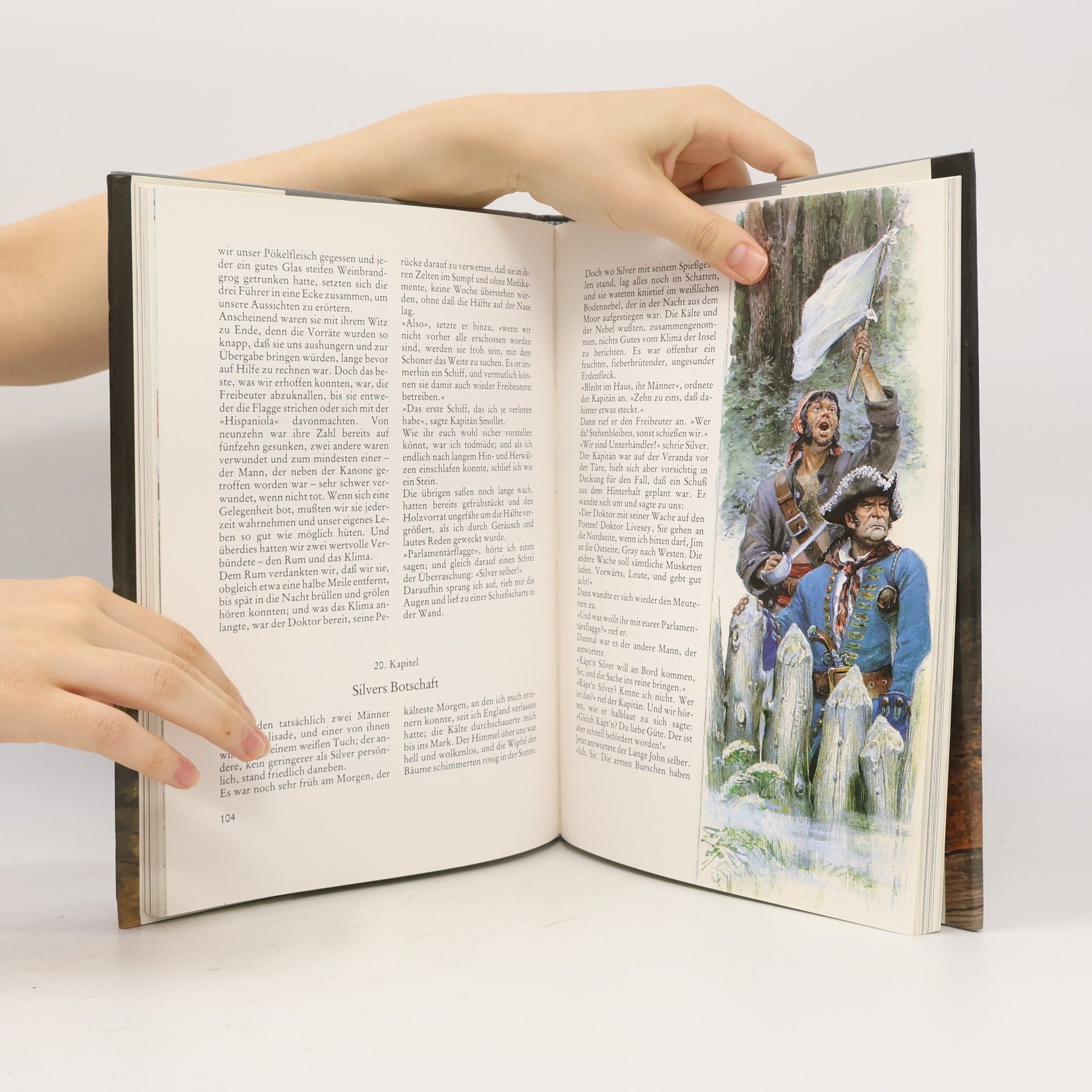 Robert Louis Stevenson Die Schatzinsel