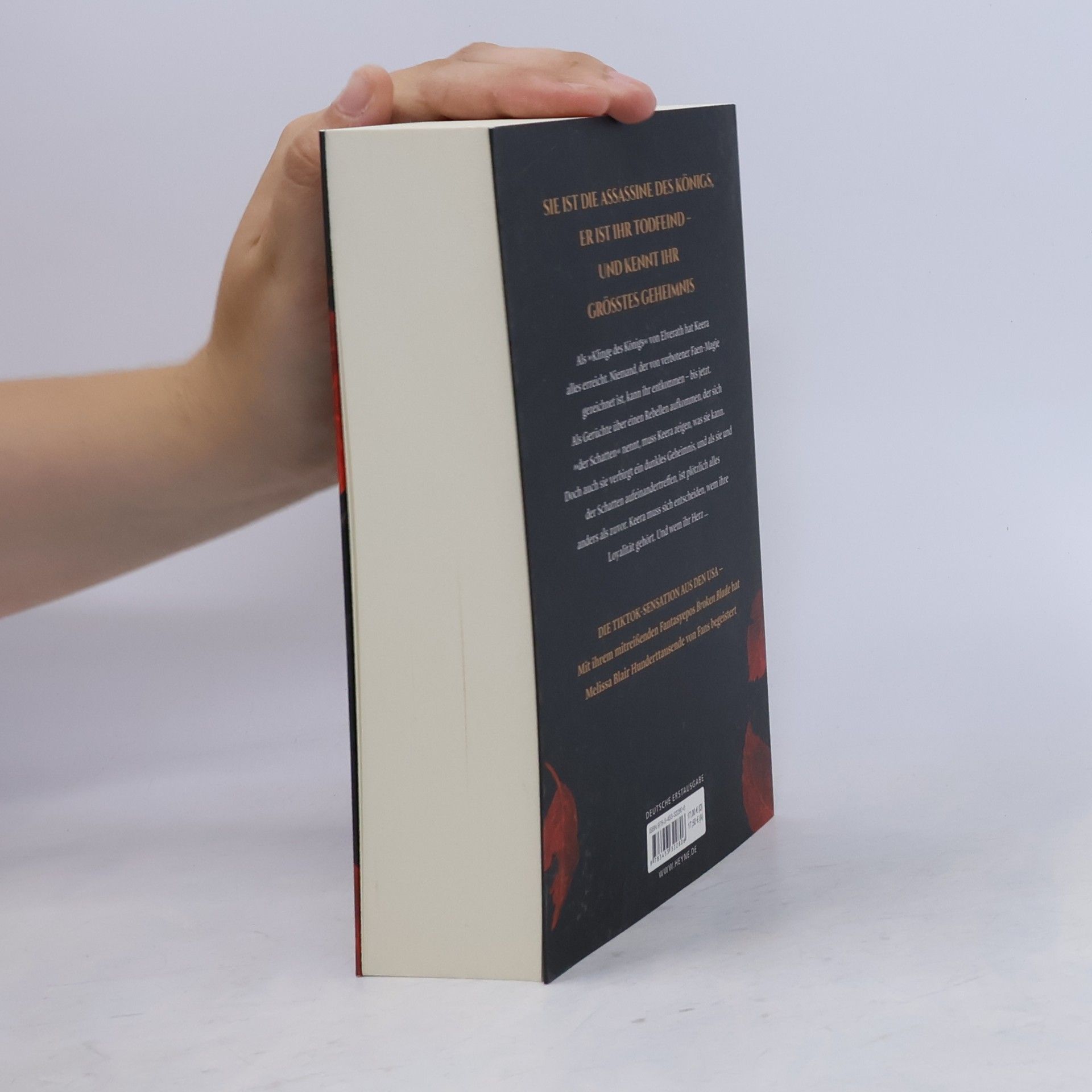 Melissa Blair Broken Blade – Die Klinge des Königs