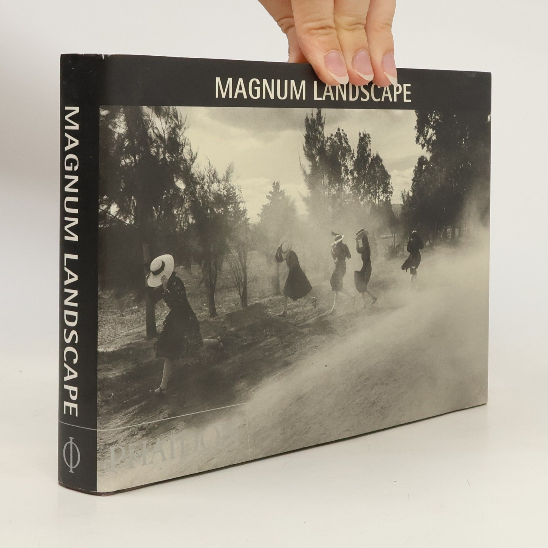 Magnum landscape