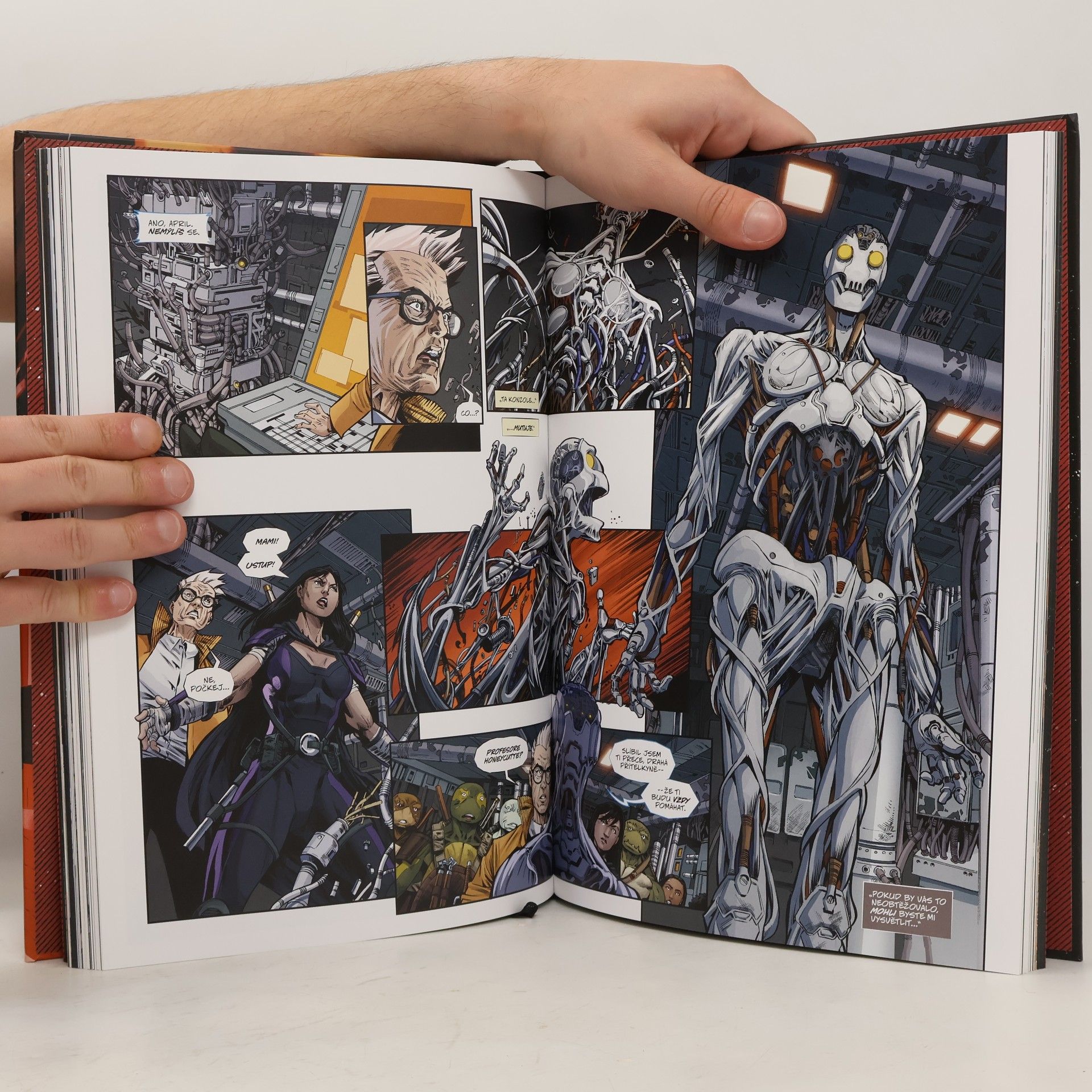 Kevin B. Eastman Želvy Ninja: Poslední Rónin - REevoluce