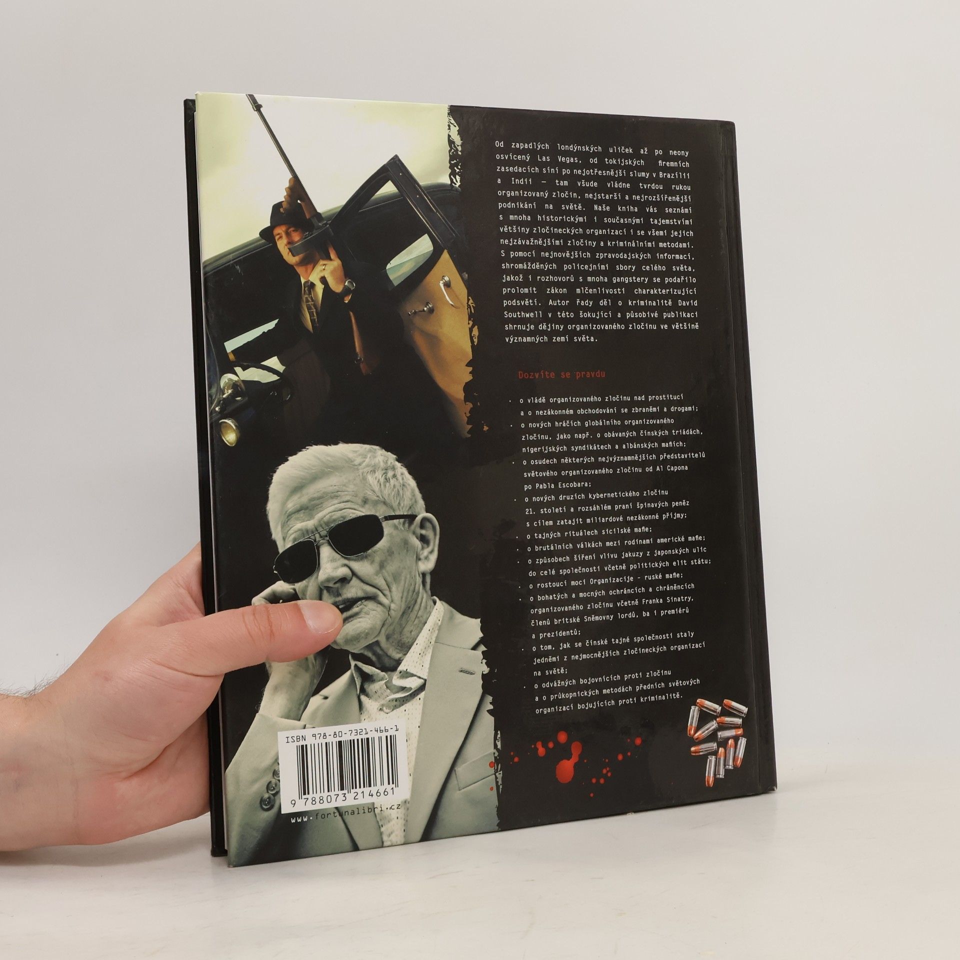 David Southwell Historie organizovaného zločinu: Pravdivý příběh o tajemstvích dnešního podsvětí