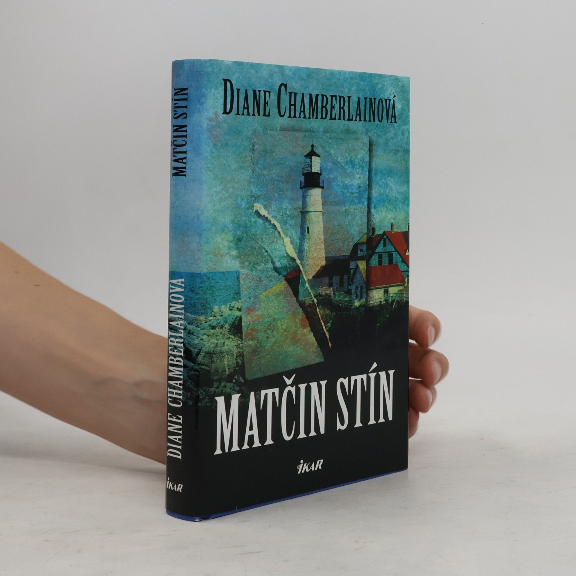 Diane Chamberlain Matčin stín