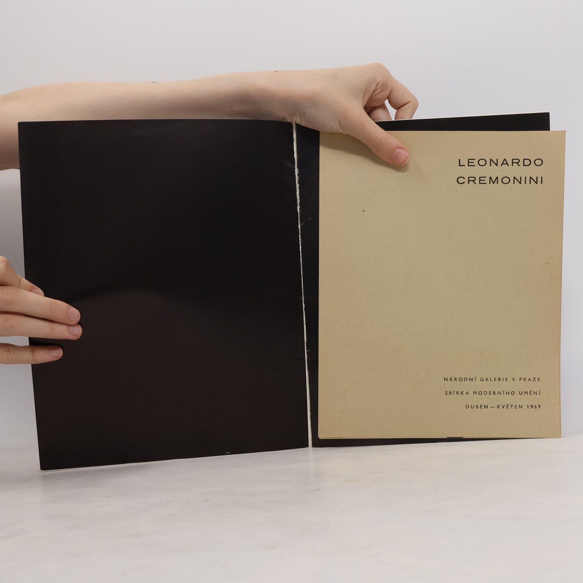 Auteurscollectief Leonardo Cremonini