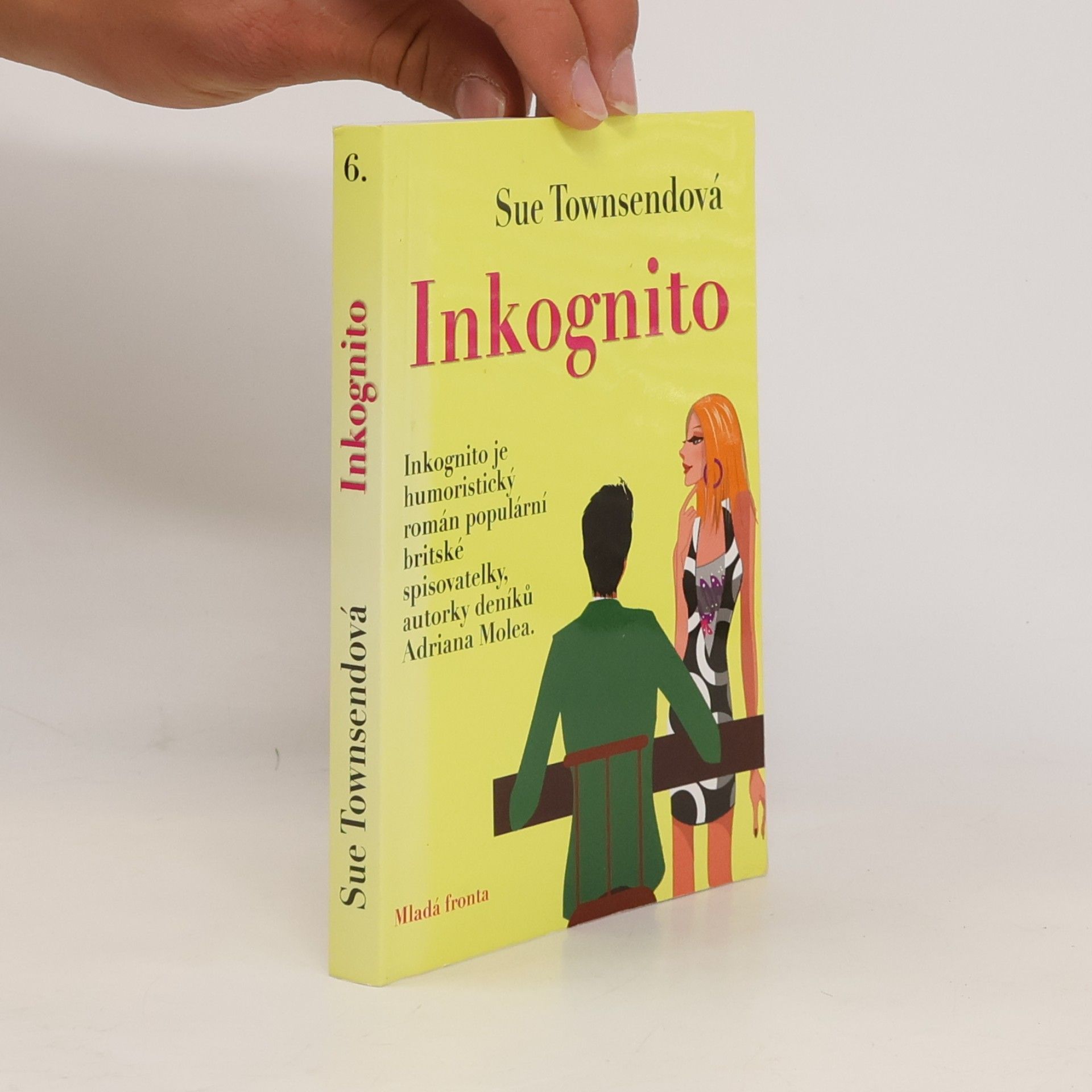Sue Townsendová Inkognito