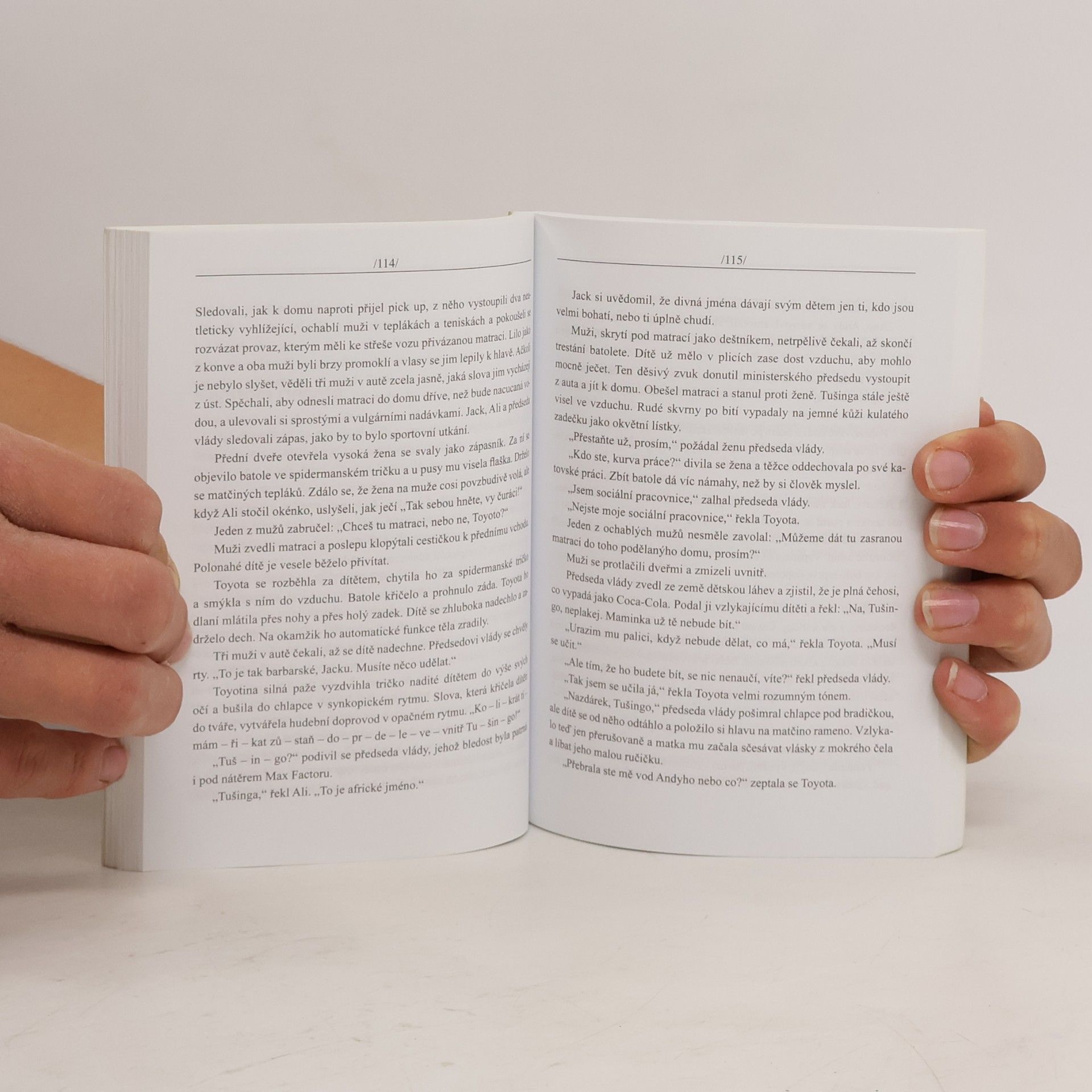 Sue Townsend Inkognito